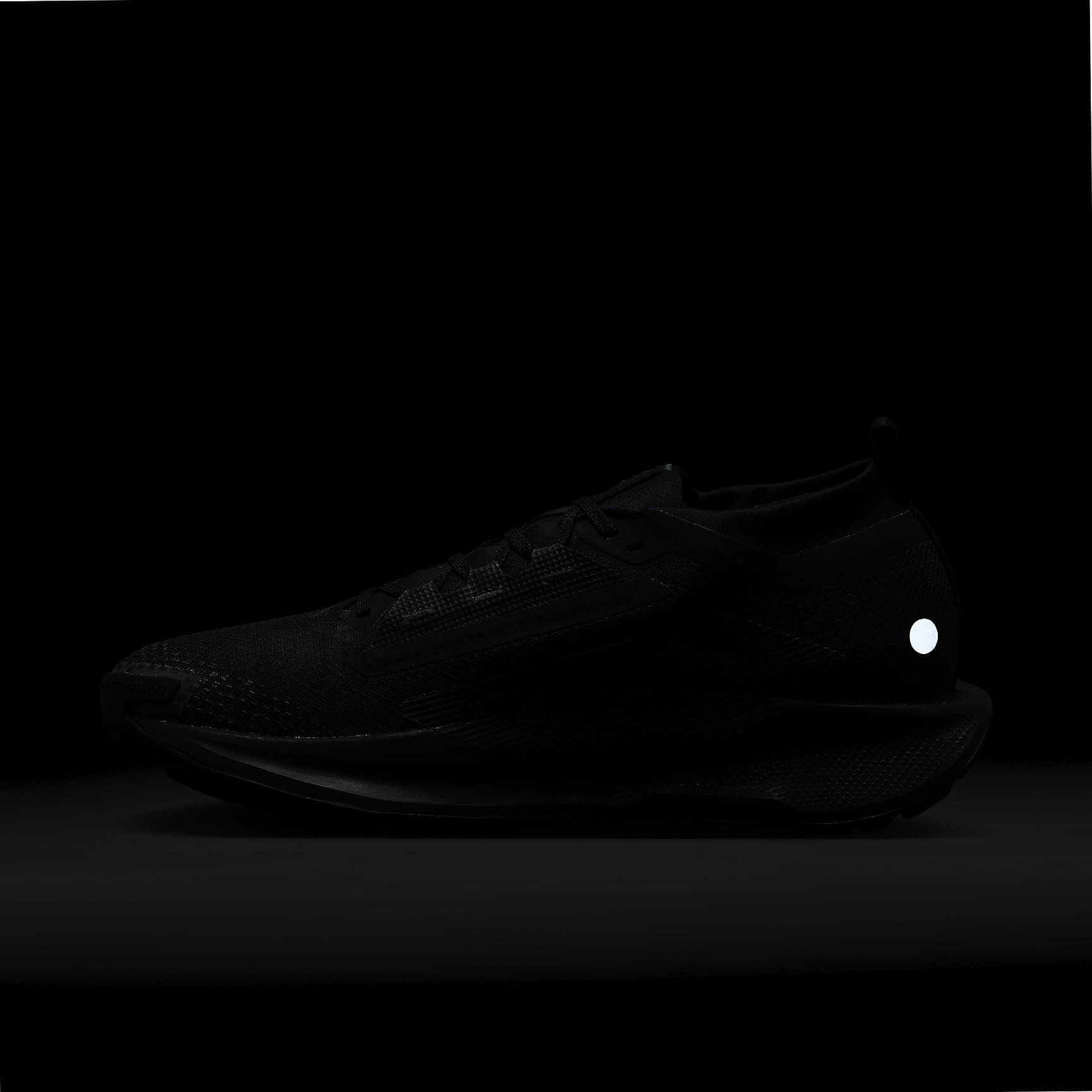 Nike Pegasus Trail 5 GORE-TEX Men's Waterproof Trail Running Shoes