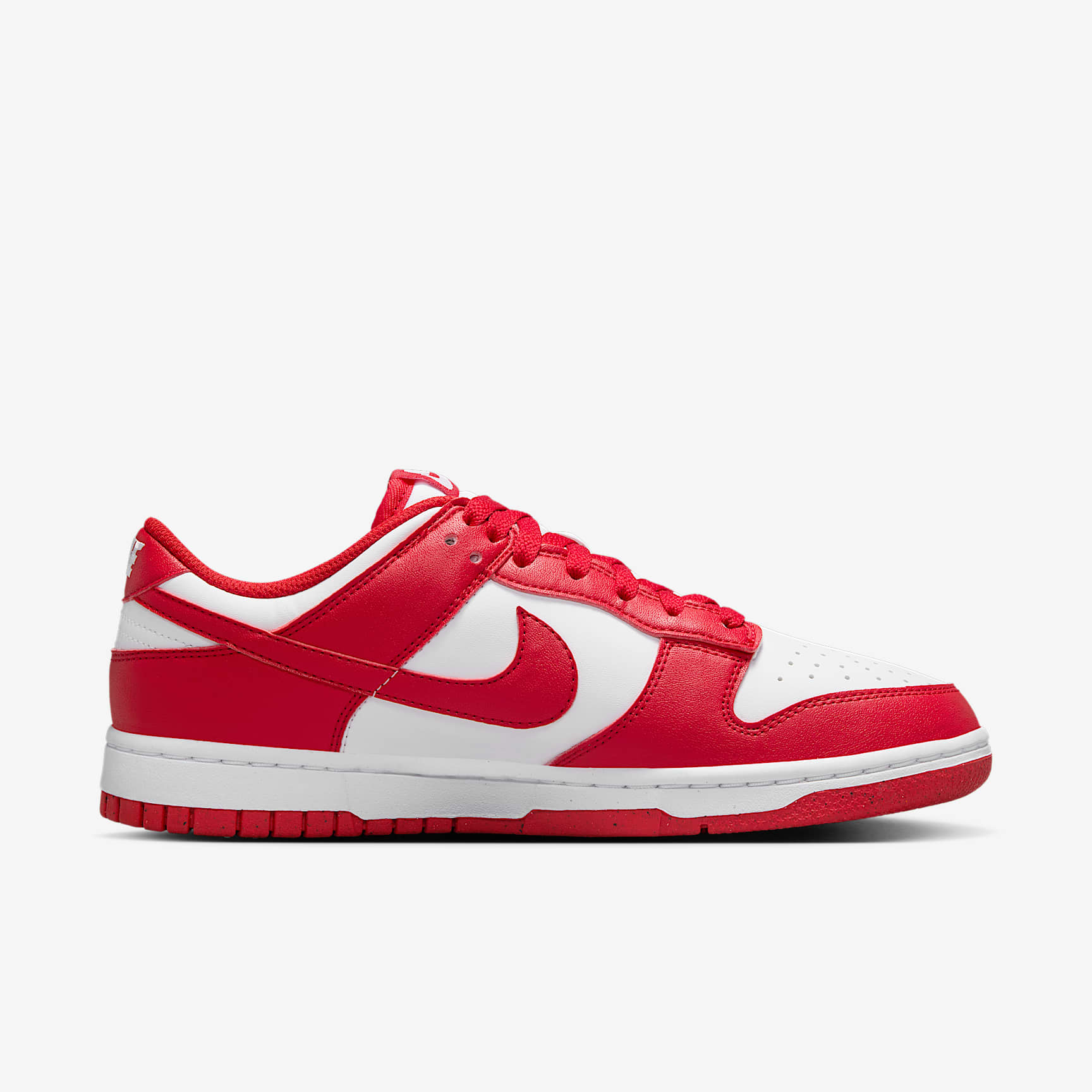 Nike Dunk Low Next Nature Women's Shoes