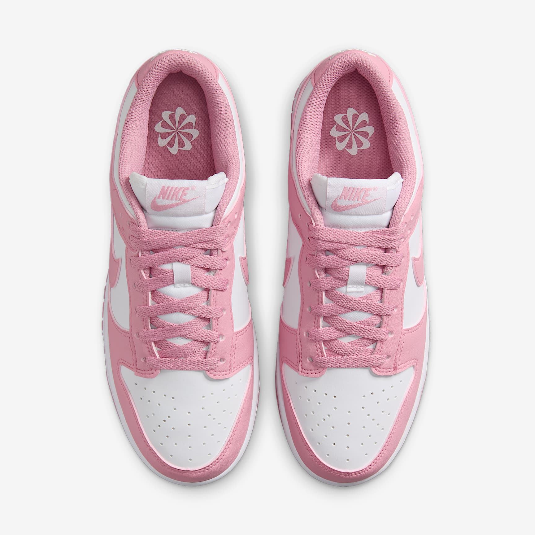 Nike Dunk Low Next Nature Women's Shoes