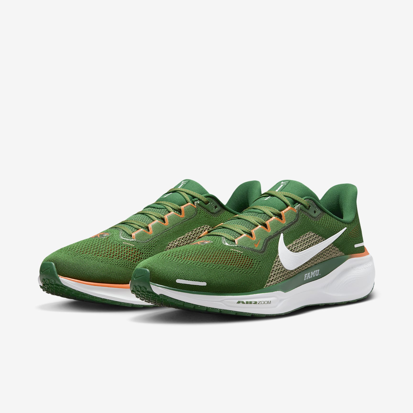 FAMU Pegasus 41 Men's Nike College Road Running Shoes