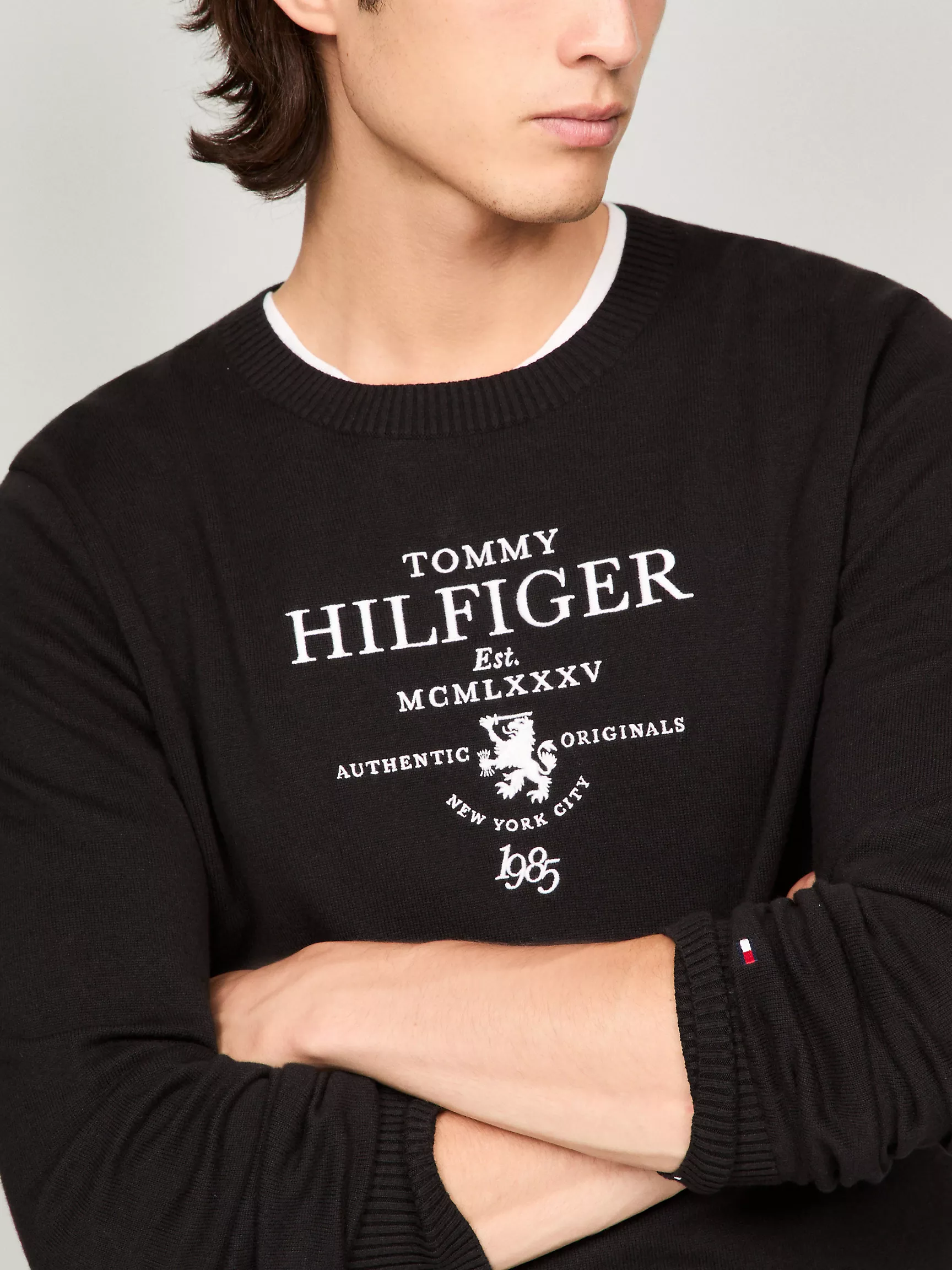 Мужской свитер Tommy Hilfiger, Свитер с вышитым гербом