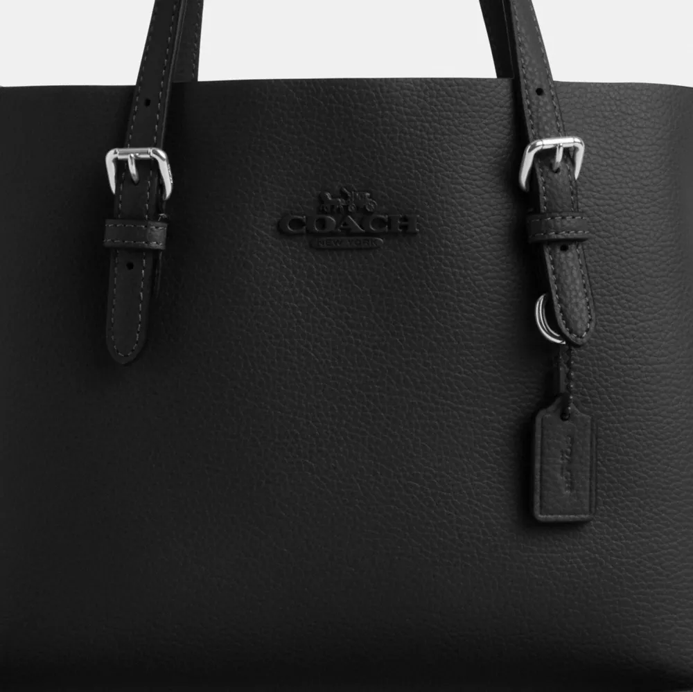 Сумка COACH Mollie Tote Bag 25