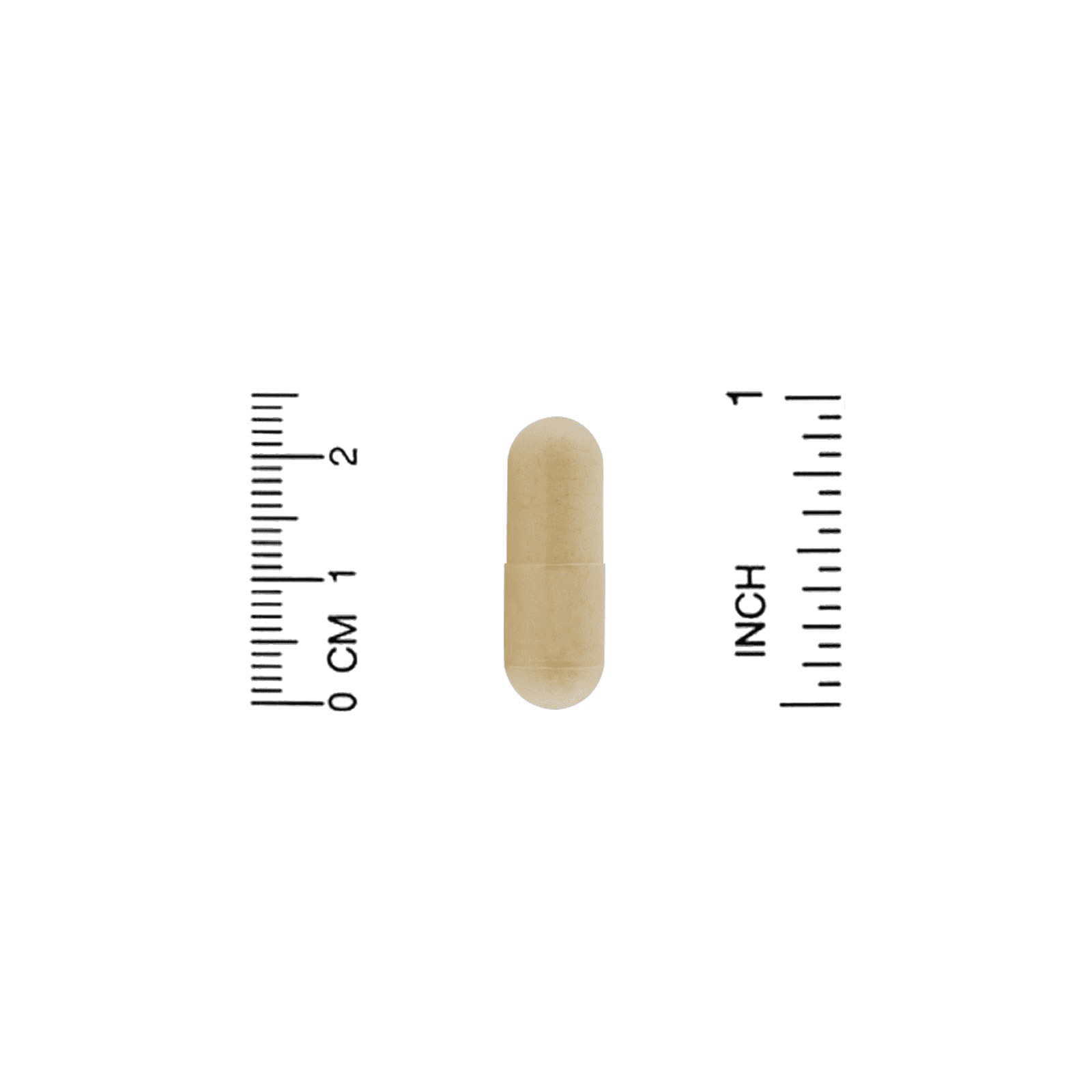 Organic India, амла, 90 вегетарианских капсул