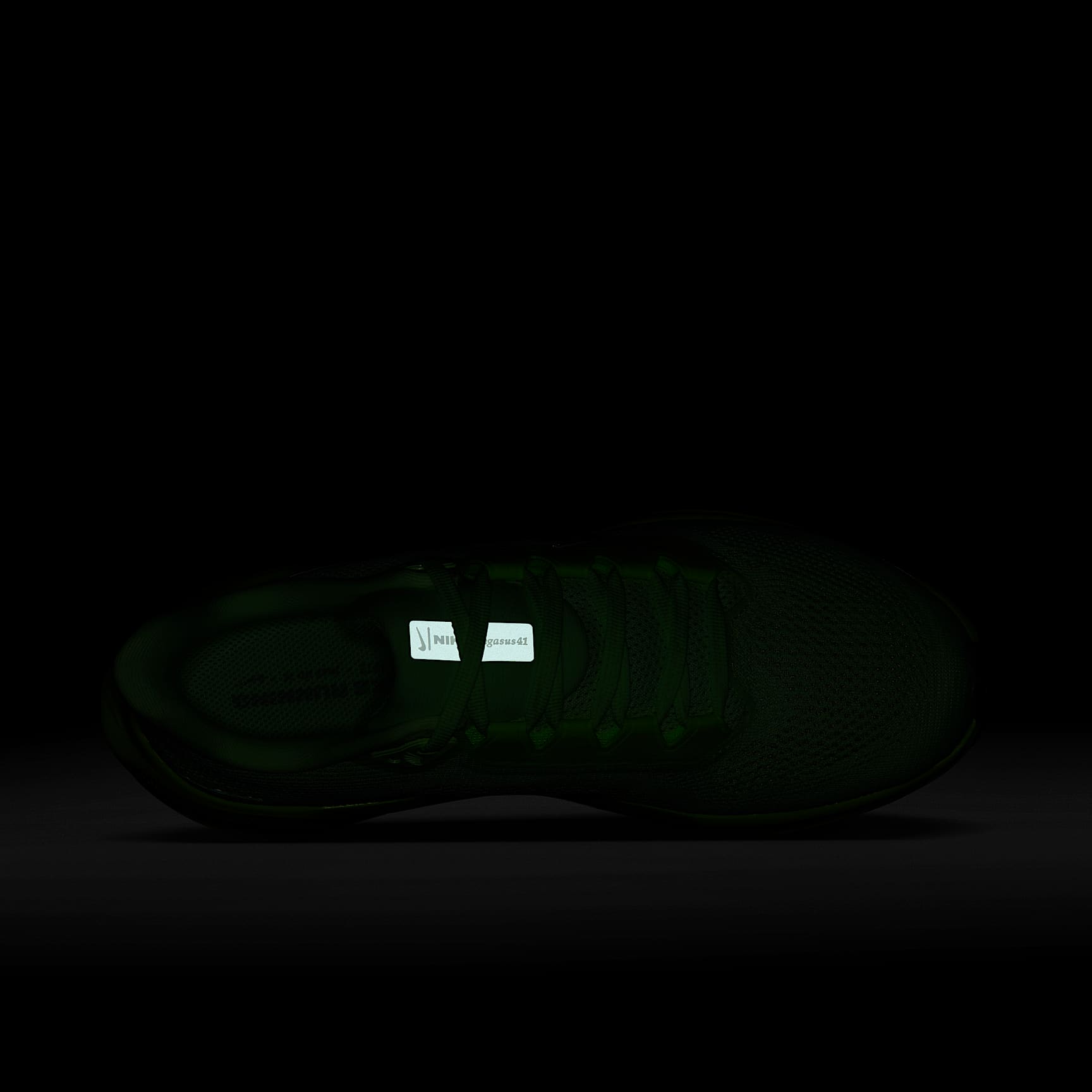 Nike Pegasus 41 Women's Road Running Shoes
