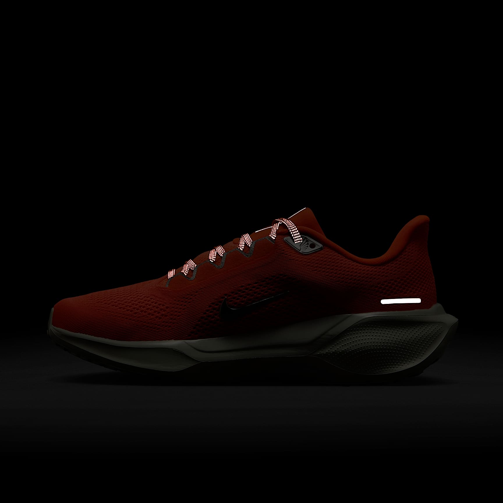 Nike Pegasus 41 PRM Women's Road Running Shoes