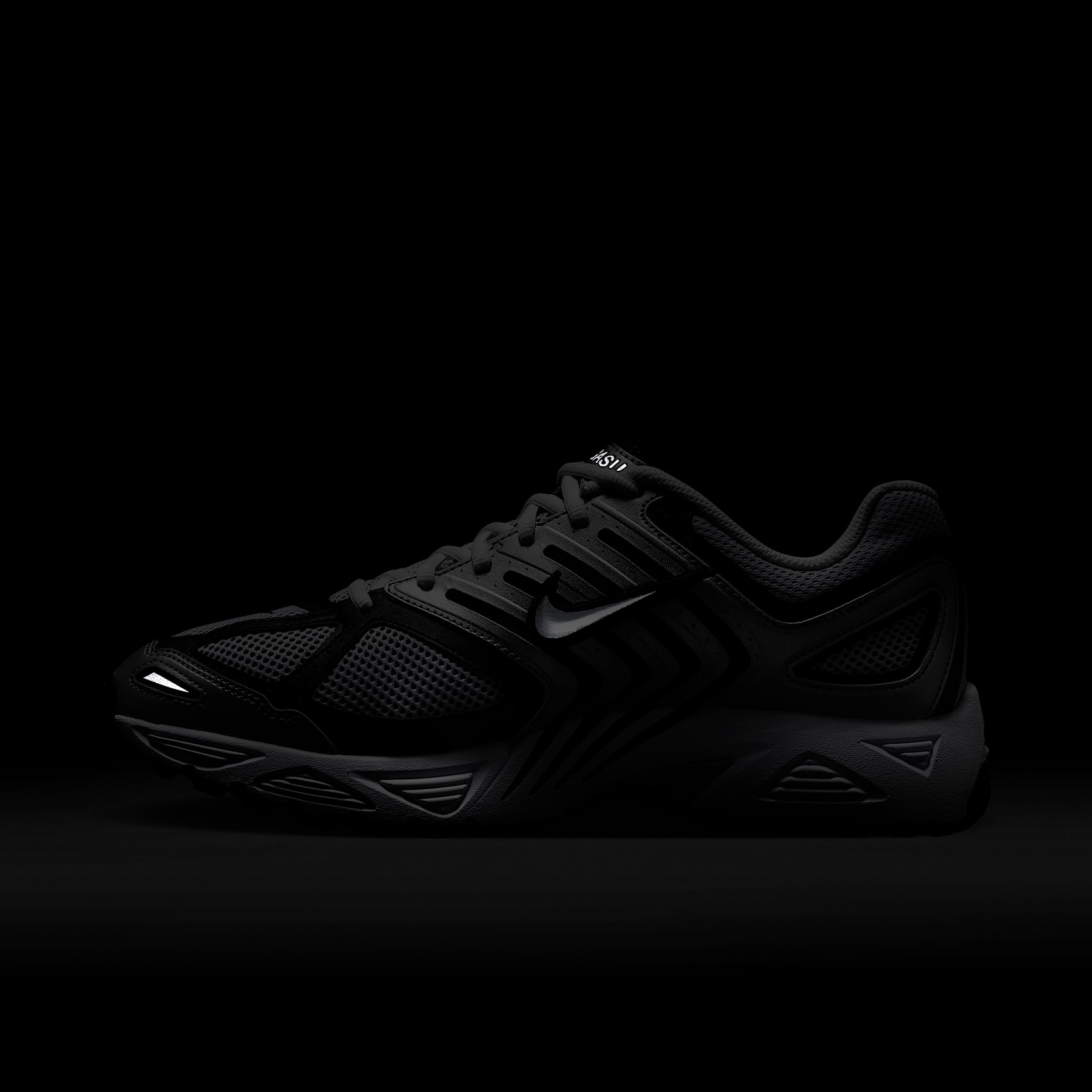 Nike Air Pegasus 2005 Men's Shoes