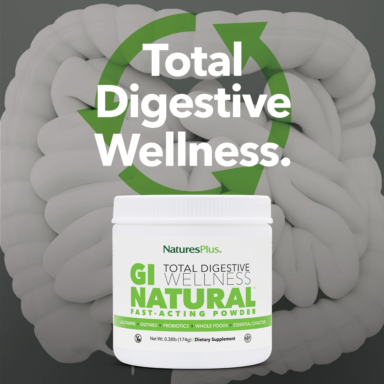 NaturesPlus, Быстродействующий порошок GI Natural, 0,38 ф. (174 г)