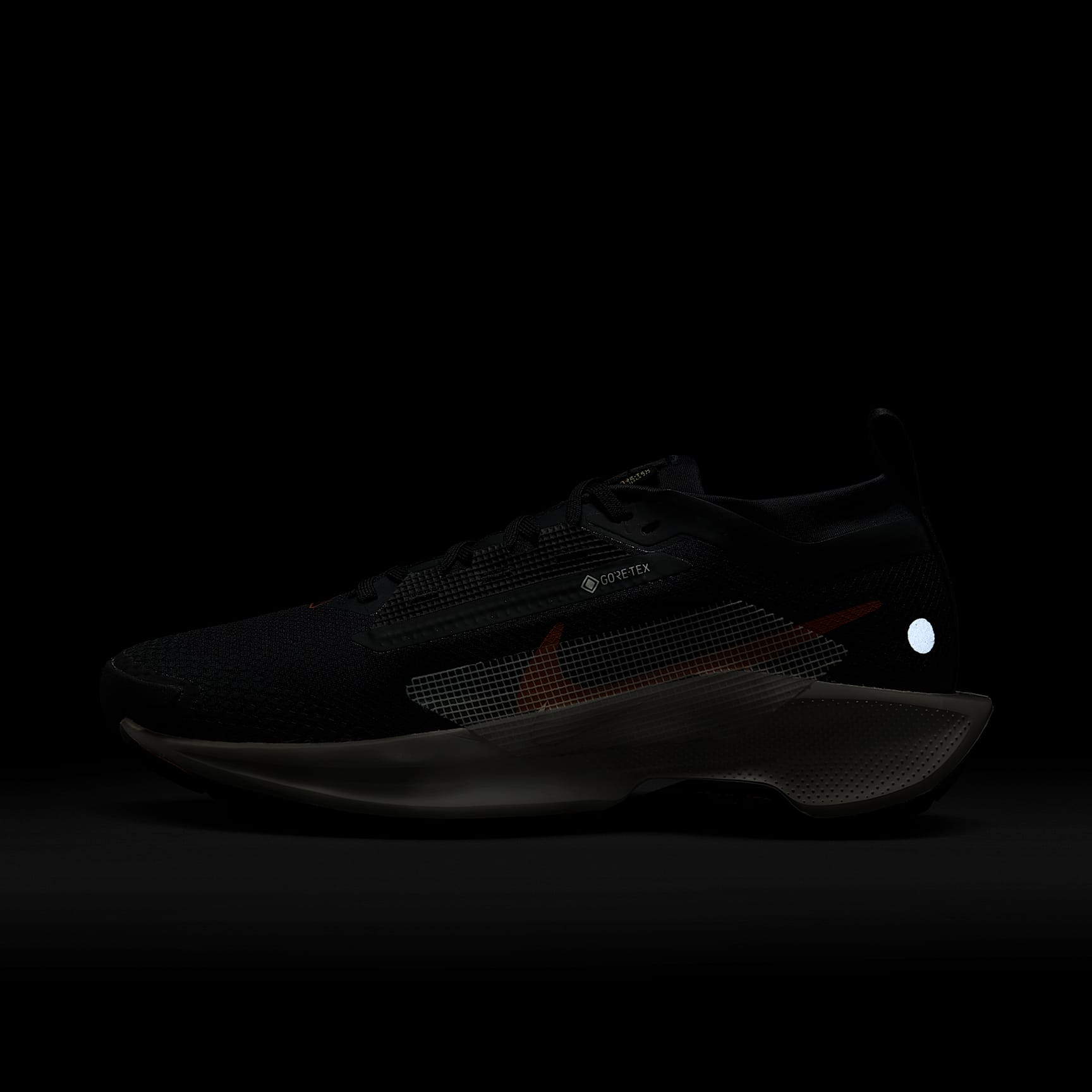 Nike Pegasus Trail 5 GORE-TEX Women's Waterproof Trail Running Shoes