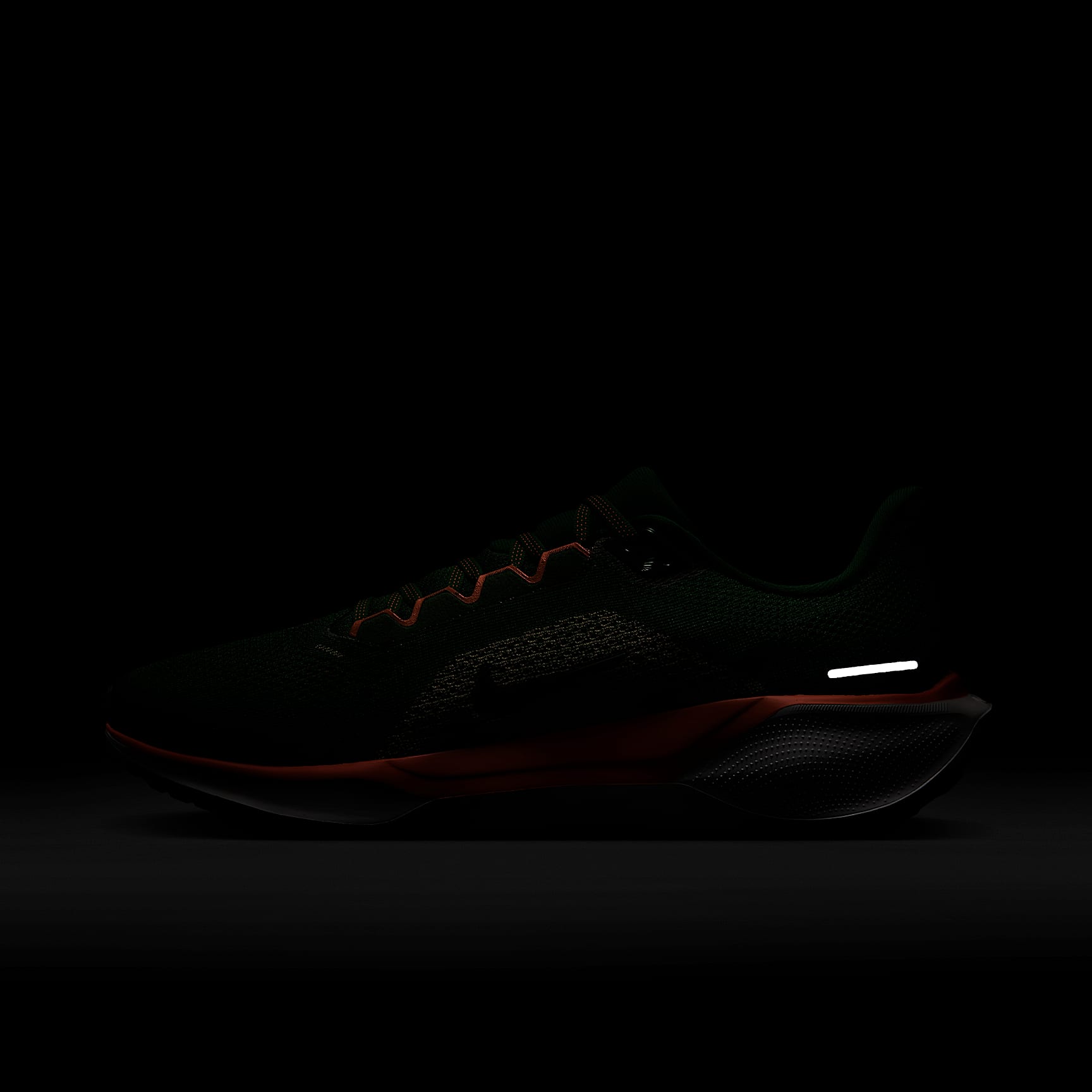 FAMU Pegasus 41 Men's Nike College Road Running Shoes