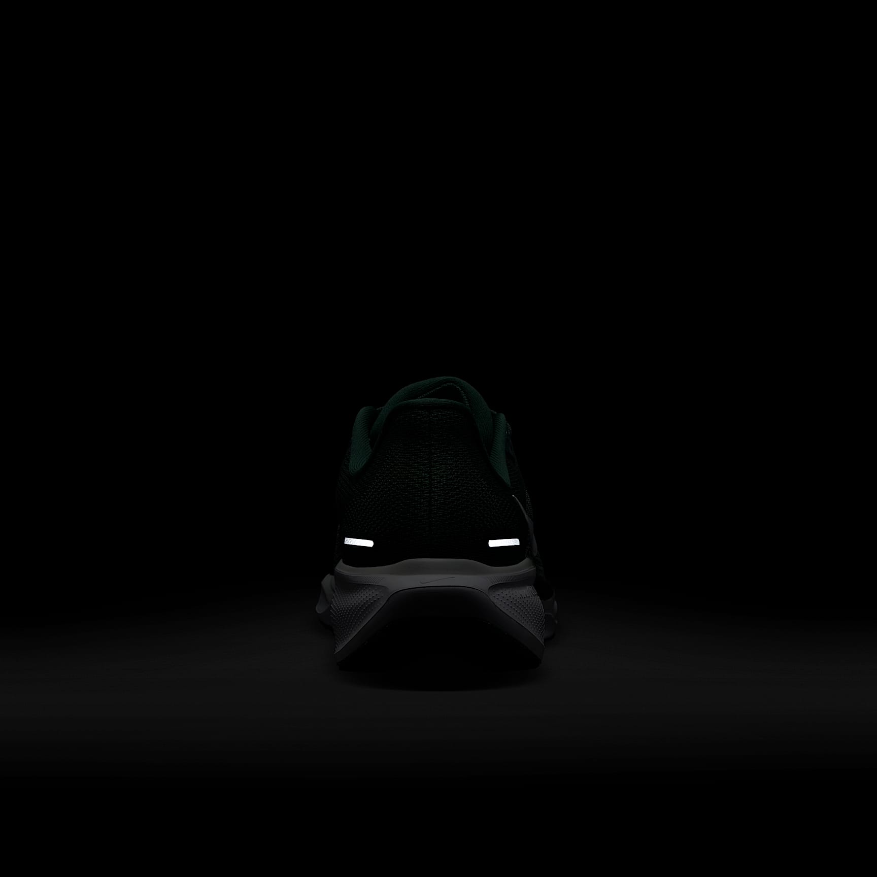 Michigan State Pegasus 41 Men's Nike College Road Running Shoes