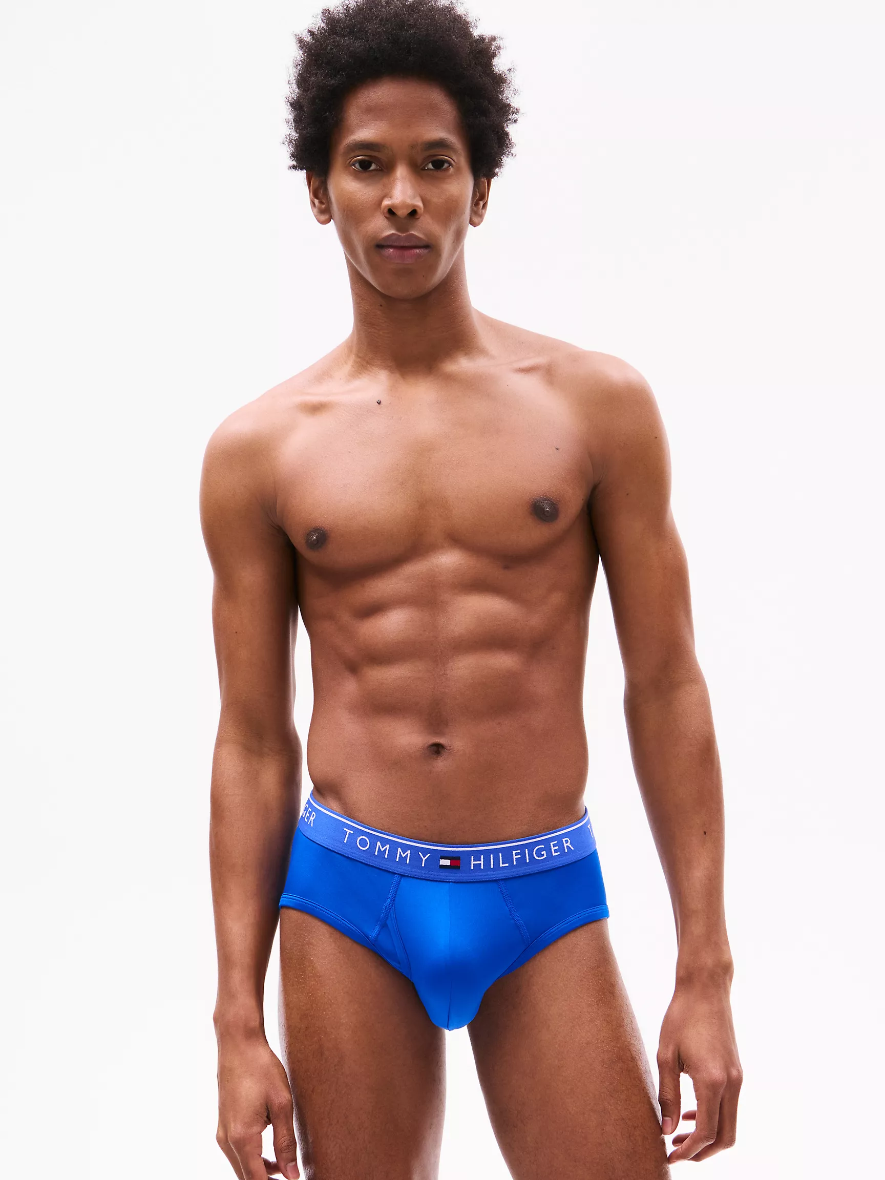 Мужское нижнее белье Tommy Hilfiger, Микрофибровые трусы-брифы TH (набор 3 шт.)