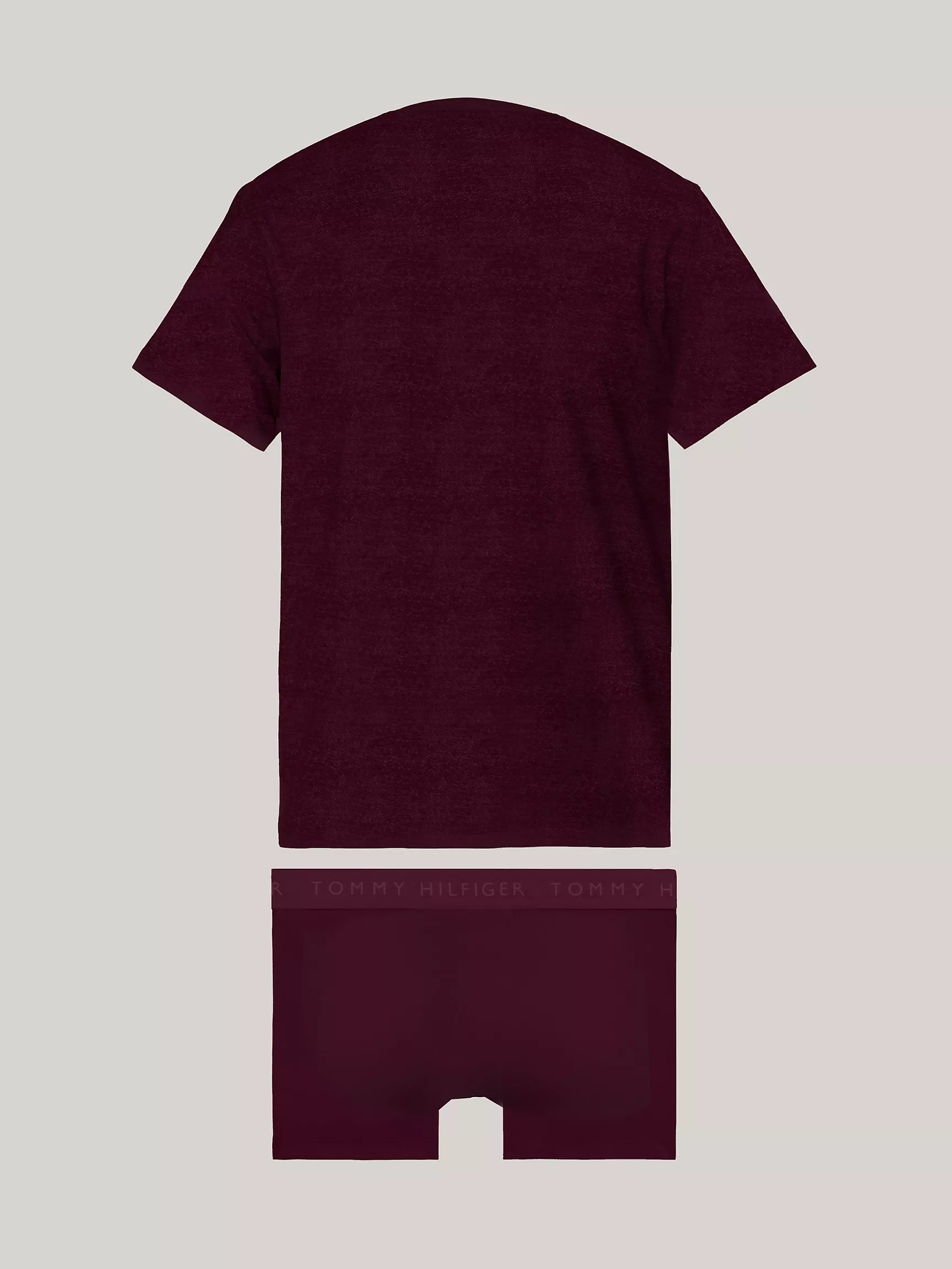 Мужское нижнее белье Tommy Hilfiger, Комплект из трусов и футболки с логотипом Tommy (2 предмета)