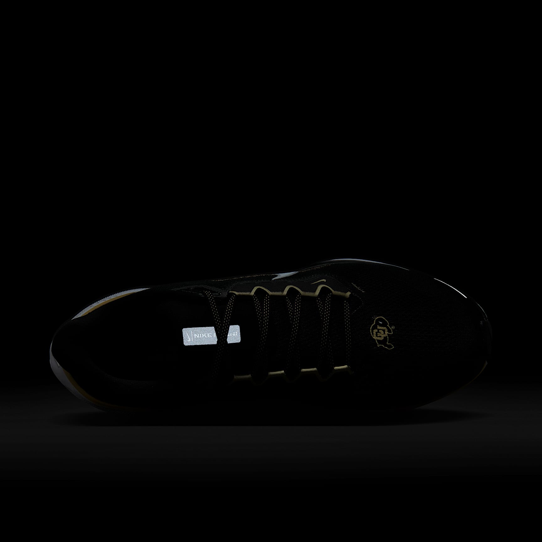 Colorado Pegasus 41 Men's Nike College Road Running Shoes