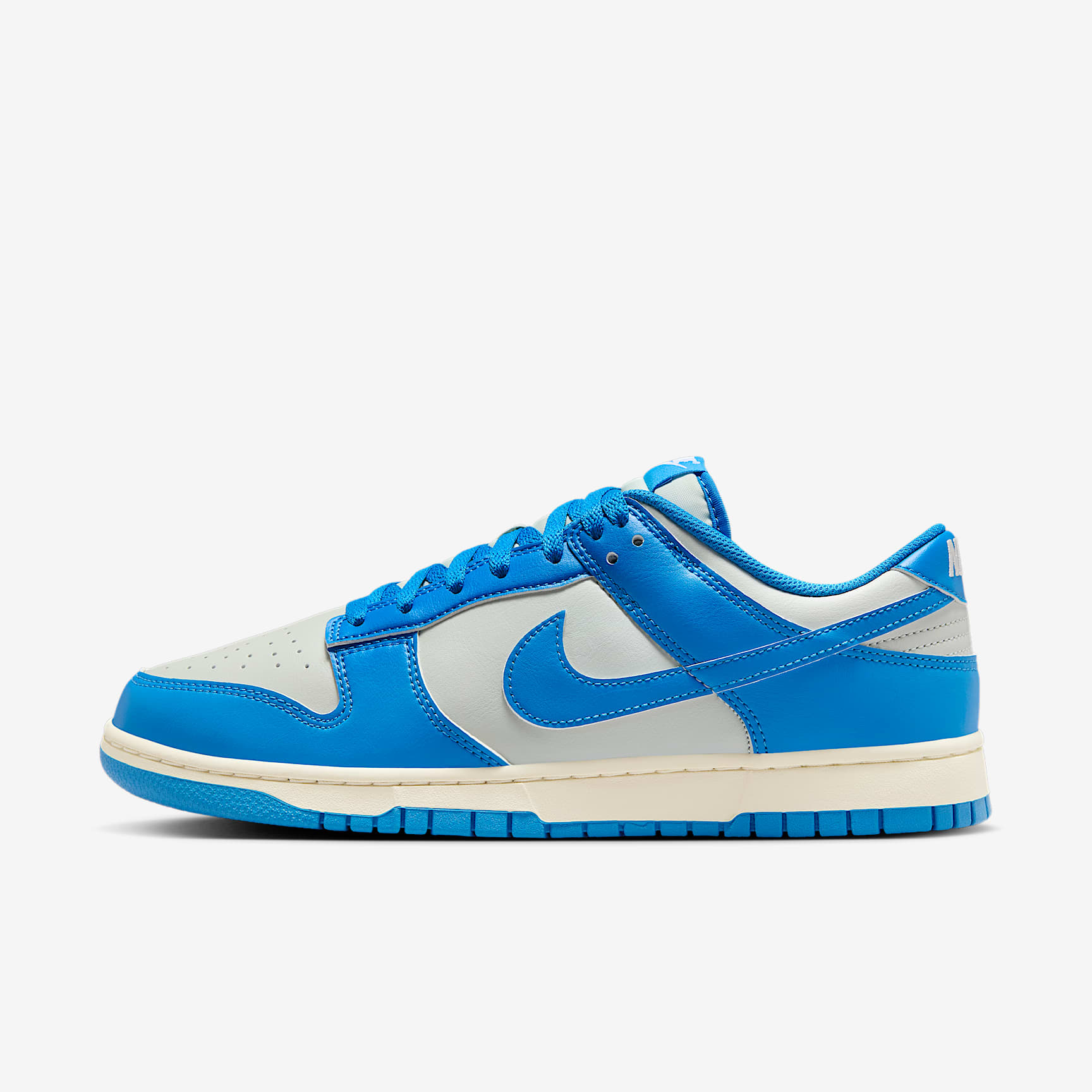 Nike Dunk Low Retro Men's Shoes