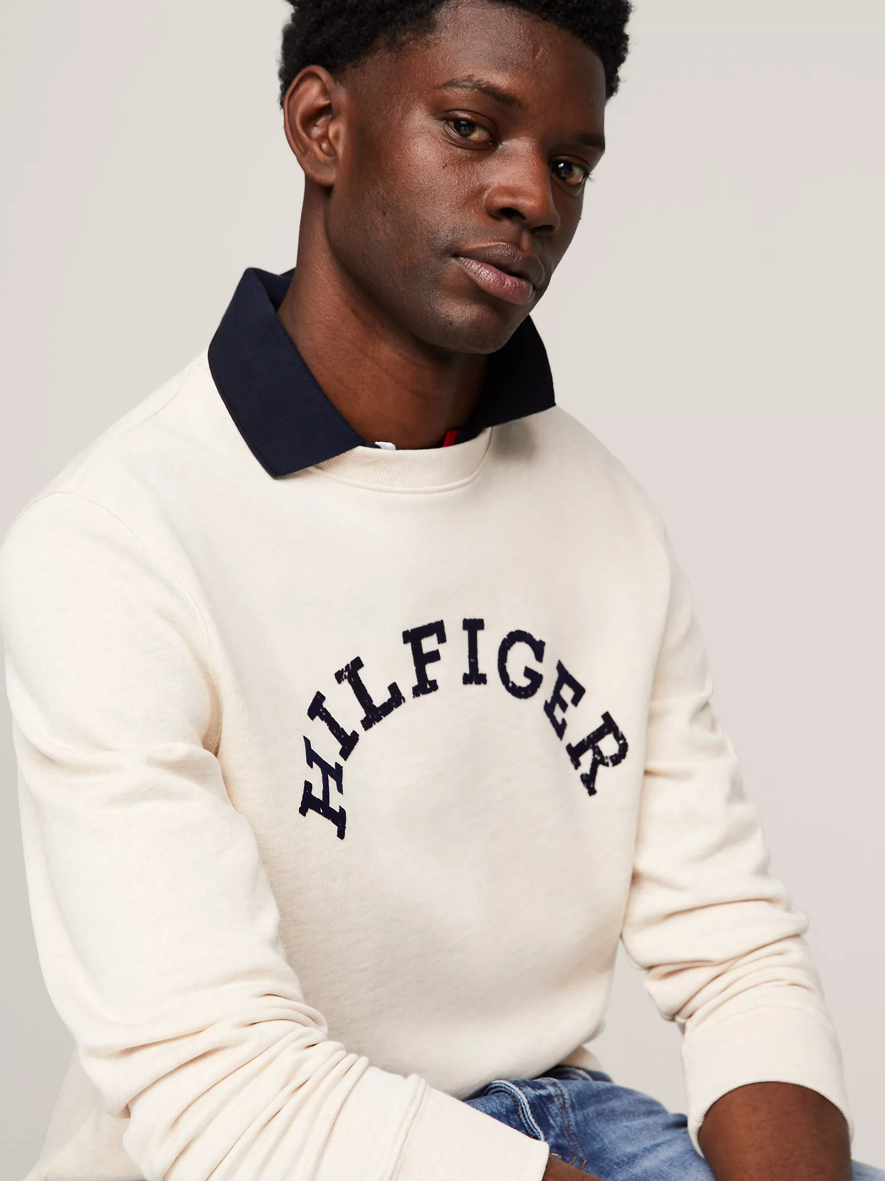 Мужская толстовка Tommy Hilfiger, Свитшот с логотипом Hilfiger Arch