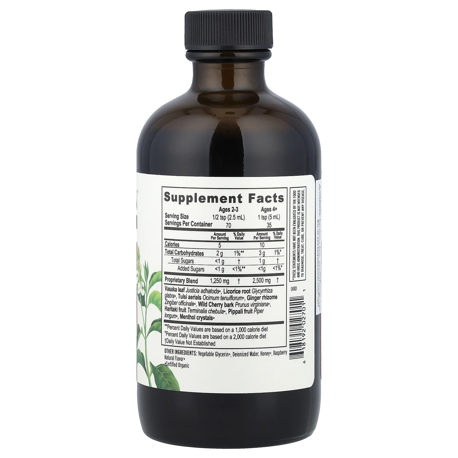 Banyan Botanicals, травяной сироп для поддержки здоровья бронхов, 177 мл (6 жидк. унций)