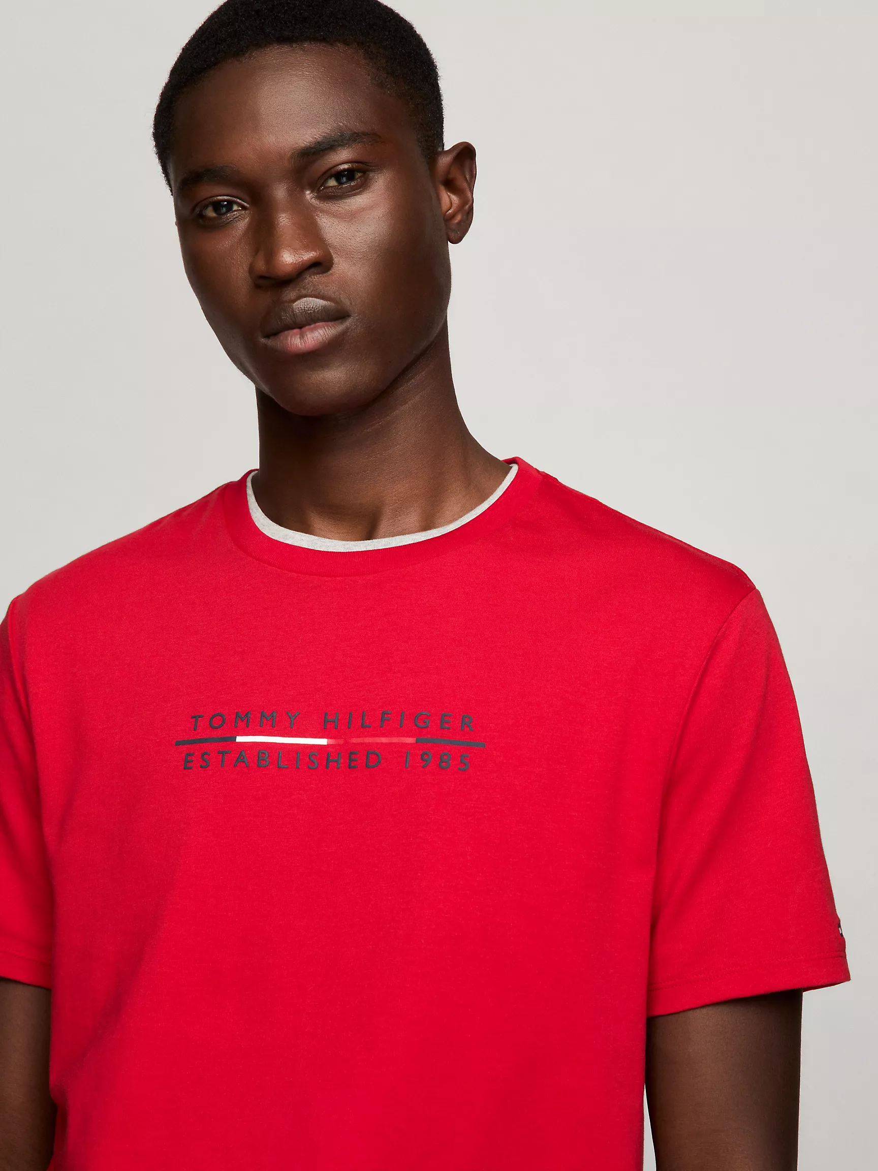 Мужская футболка Tommy Hilfiger, Футболка с вышитым логотипом Hilfiger