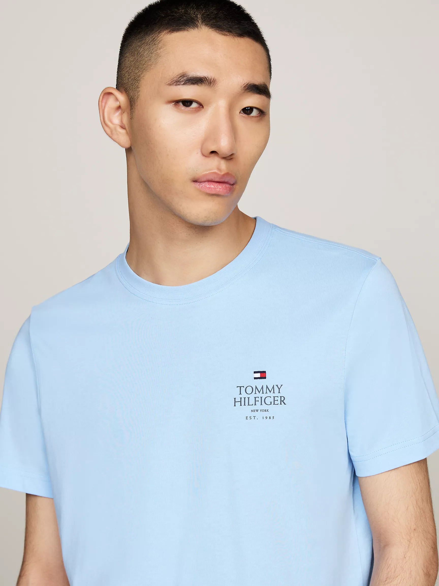 Мужская футболка Tommy Hilfiger, Футболка с логотипом Tommy