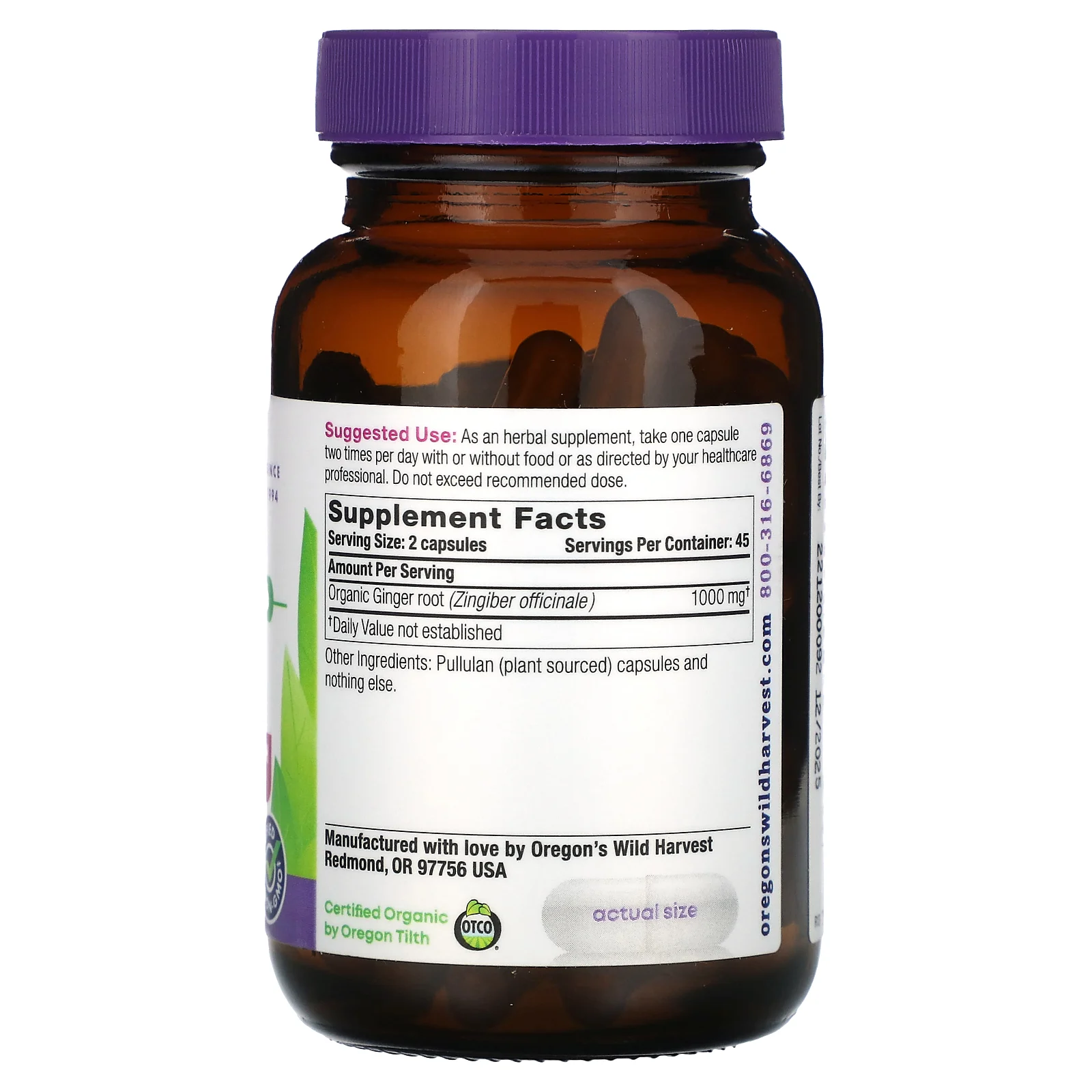 Oregon's Wild Harvest, Имбирь, 90 капсул на растительной основе без ГМО