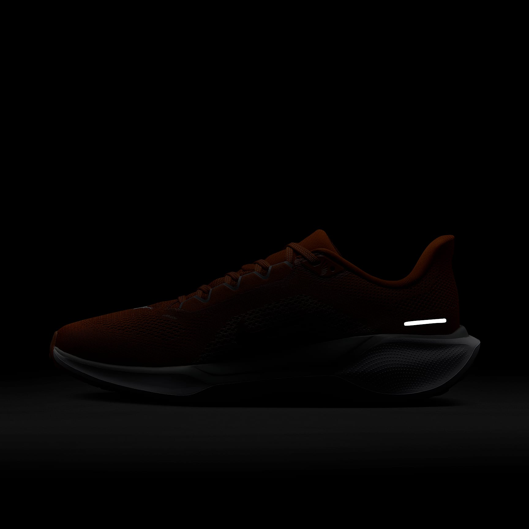 Texas Pegasus 41 Men's Nike College Road Running Shoes