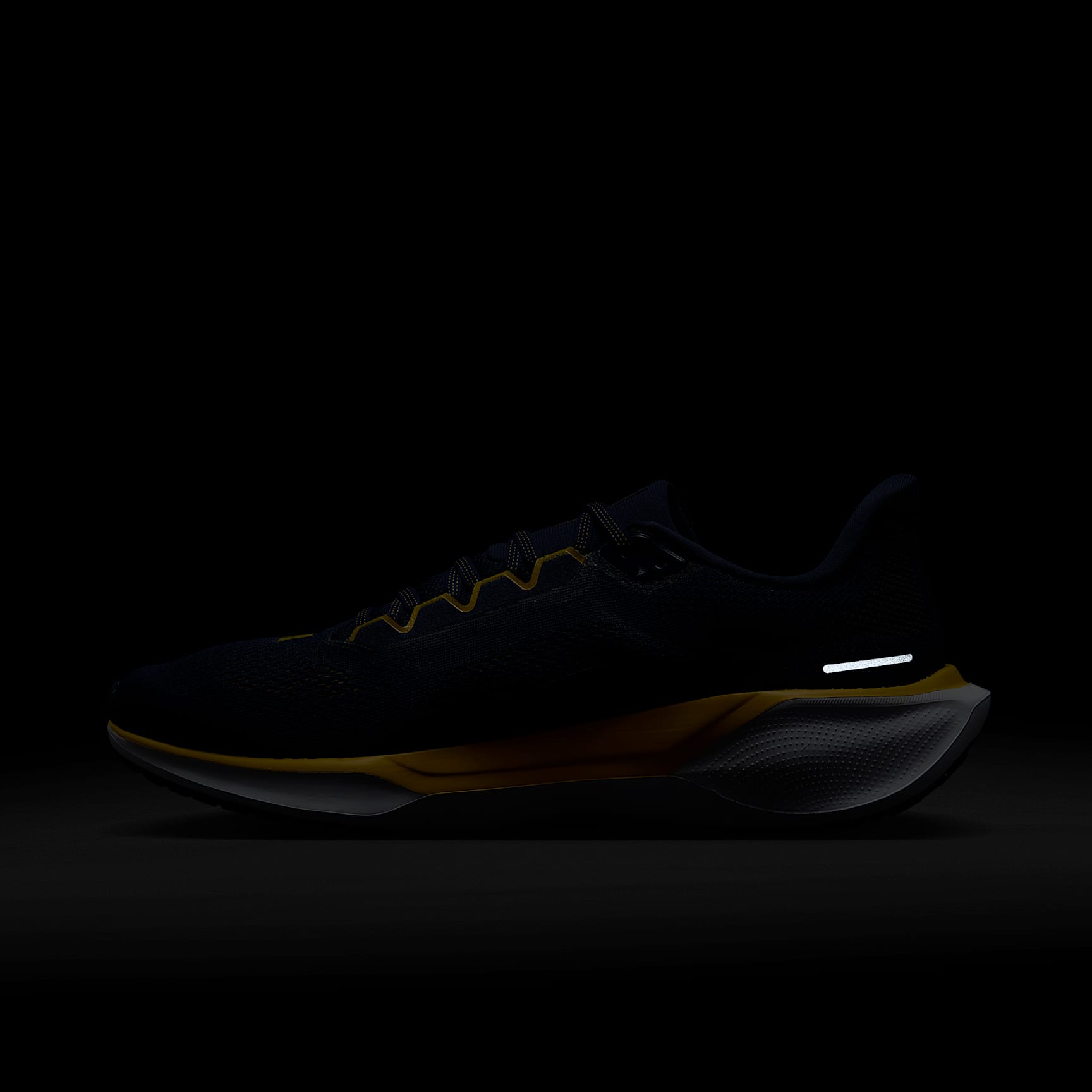 Michigan Pegasus 41 Men's Nike College Road Running Shoes