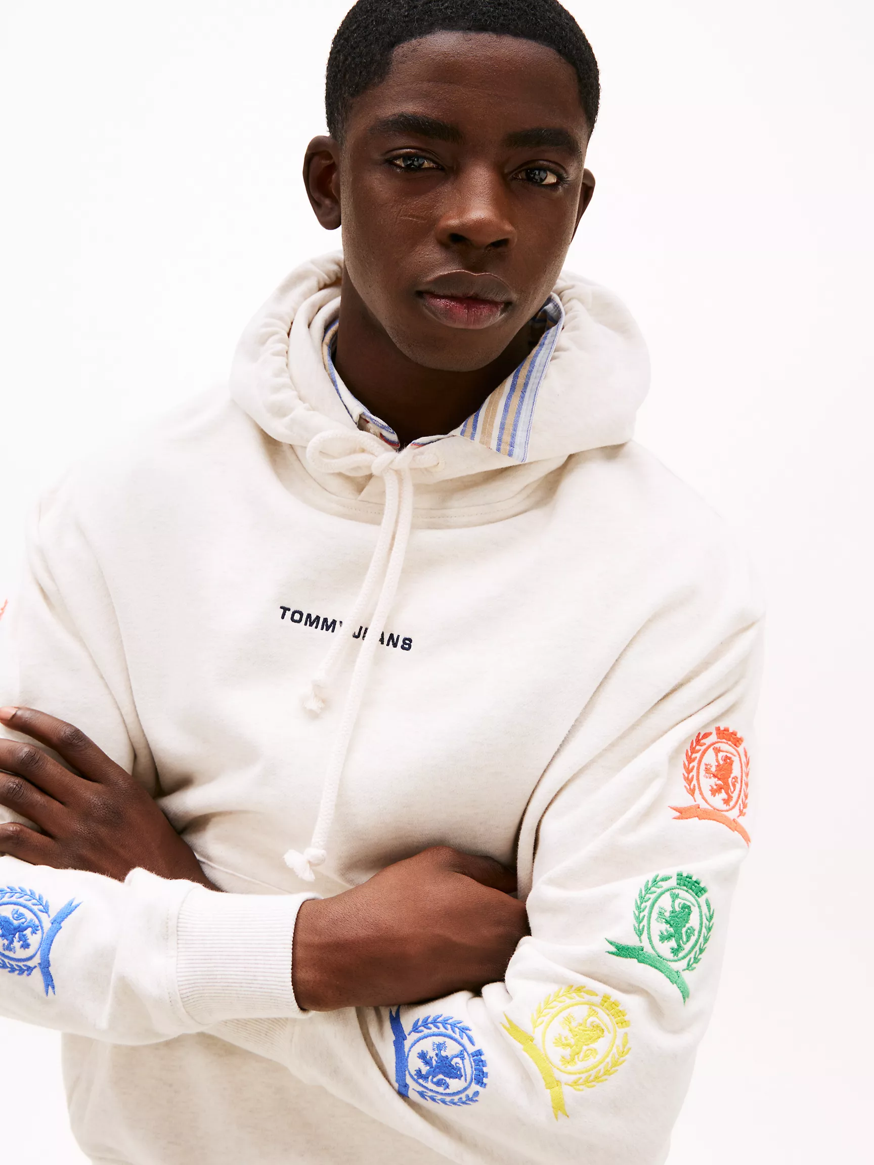 Мужское худи Tommy Hilfiger, Свободное худи с графическим логотипом Crest