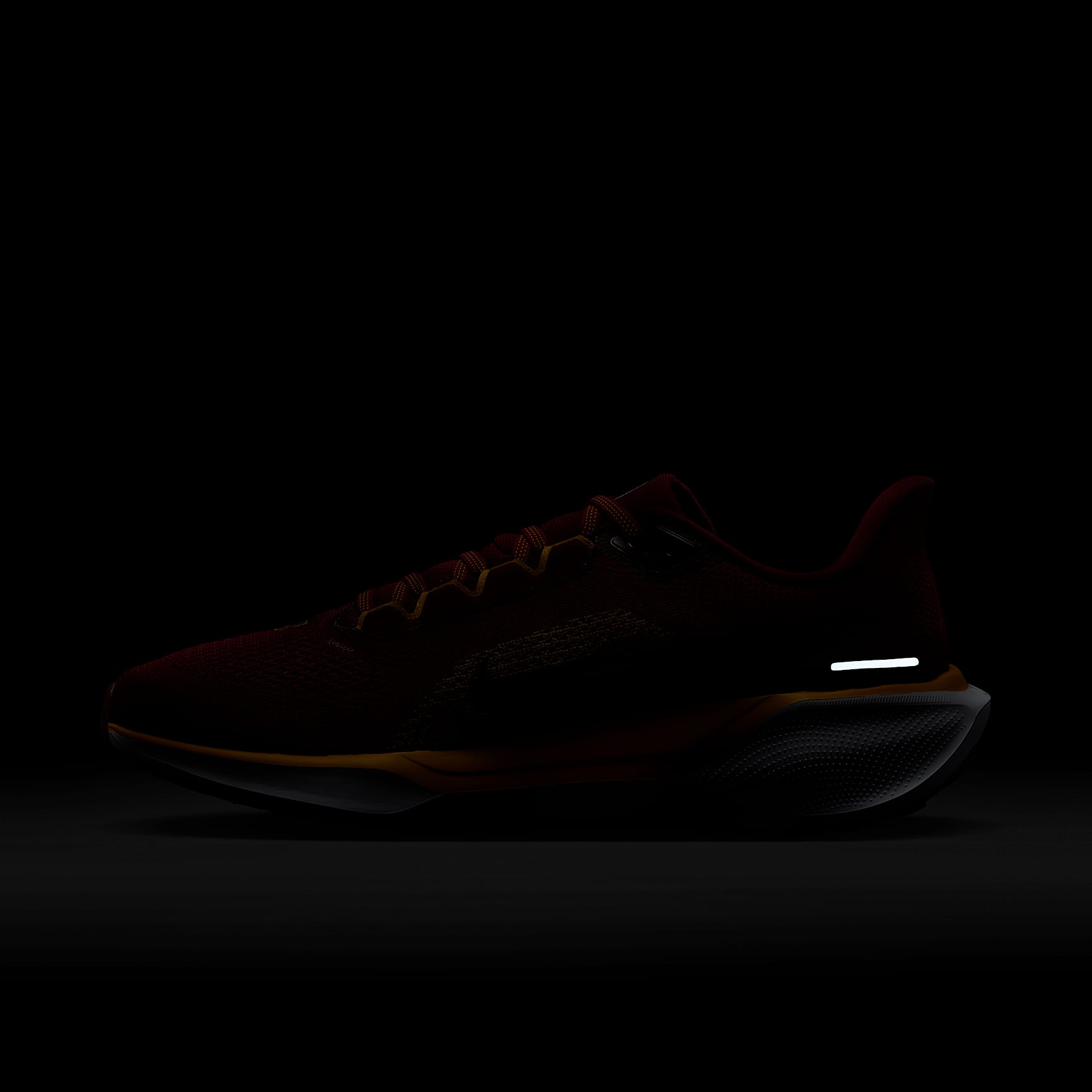 Nike Pegasus 41 NFL Washington Commanders Men's Road Running Shoes