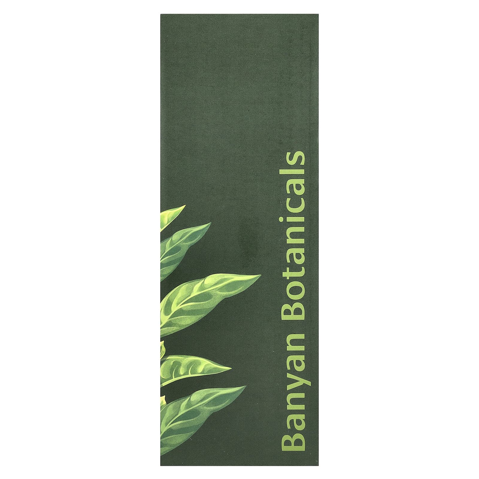Banyan Botanicals, Organic Daily Swish, мята, 236 мл (8 жидк. Унций)