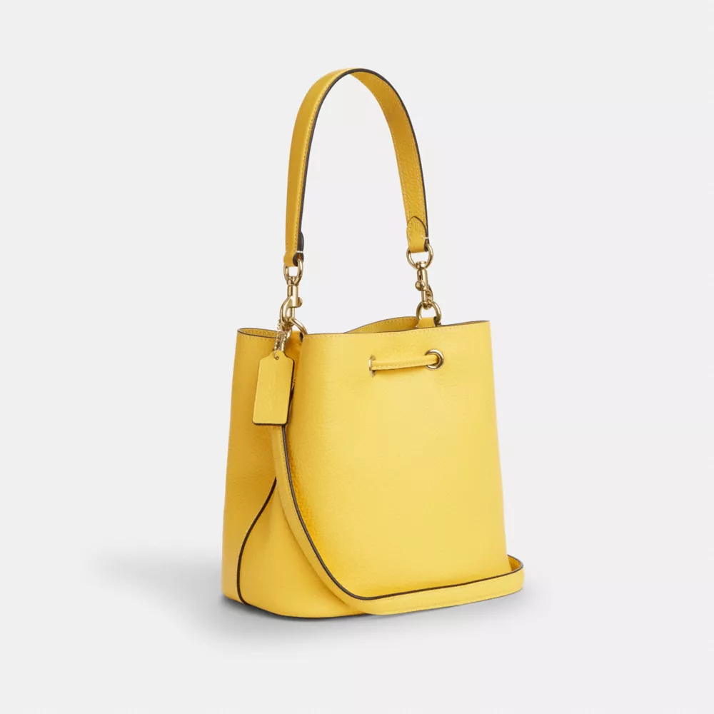 Сумка COACH Rowan Bucket Bag
