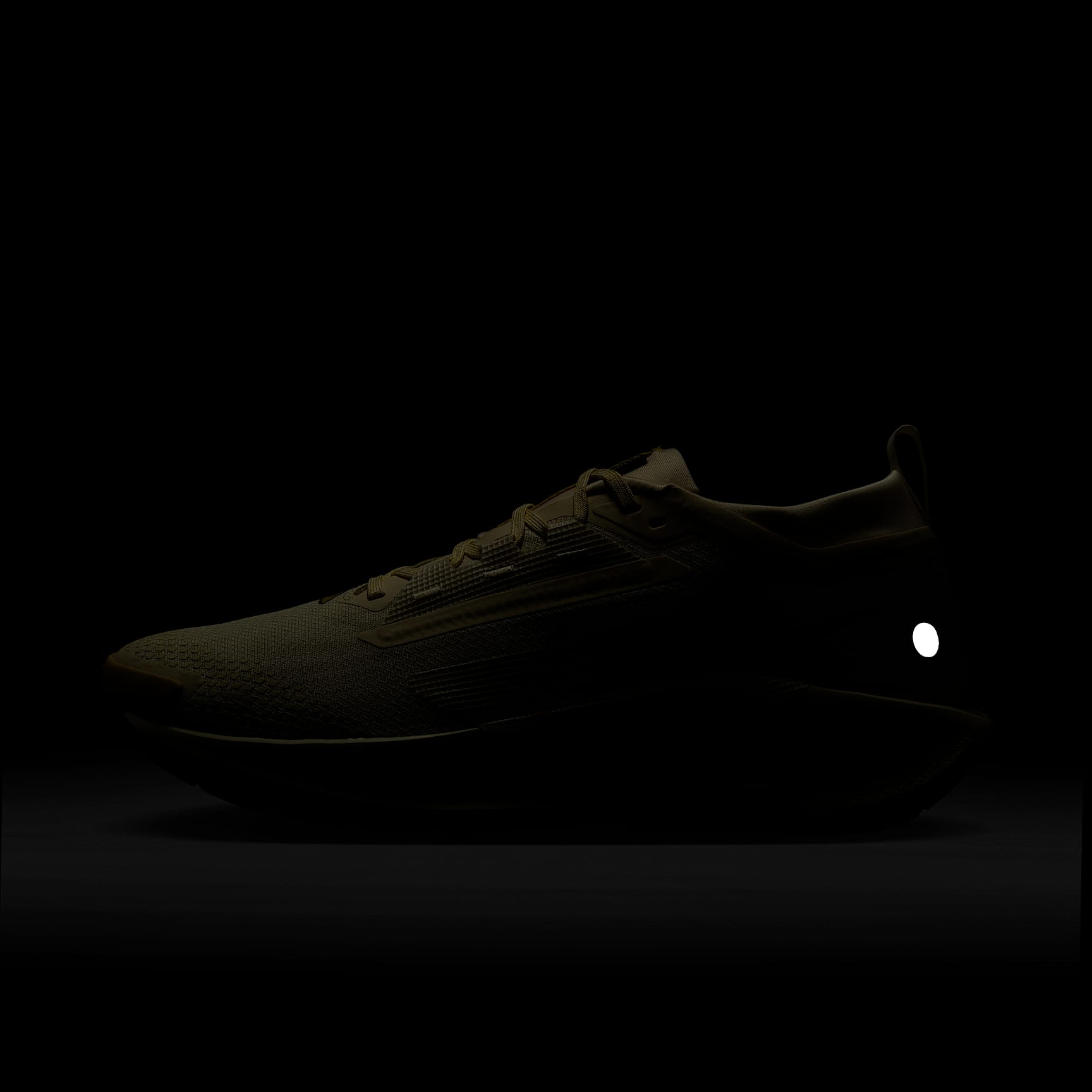 Nike Pegasus Trail 5 GORE-TEX Men's Waterproof Trail Running Shoes