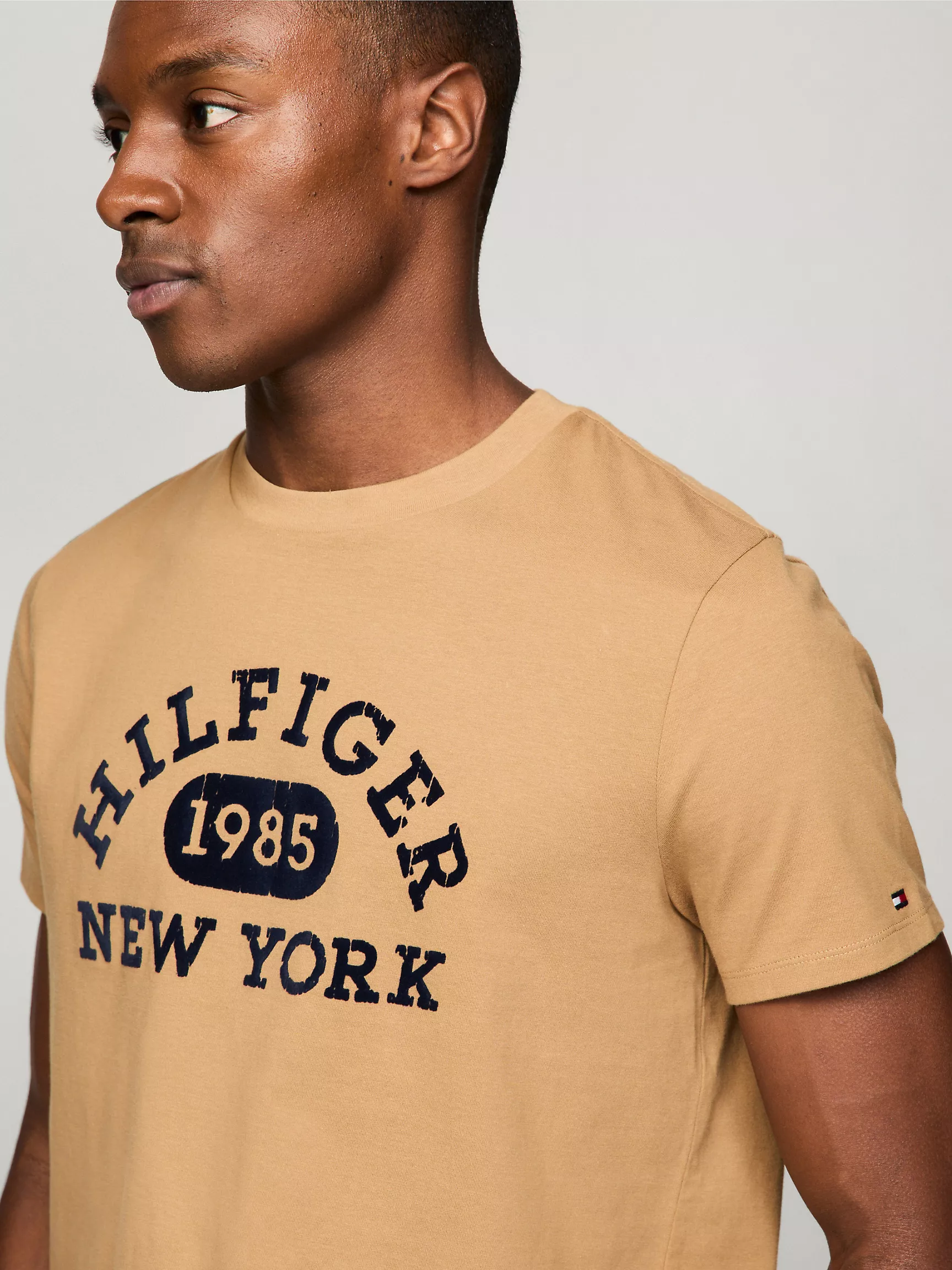 Мужская футболка Tommy Hilfiger, Футболка с университетским монограммным логотипом