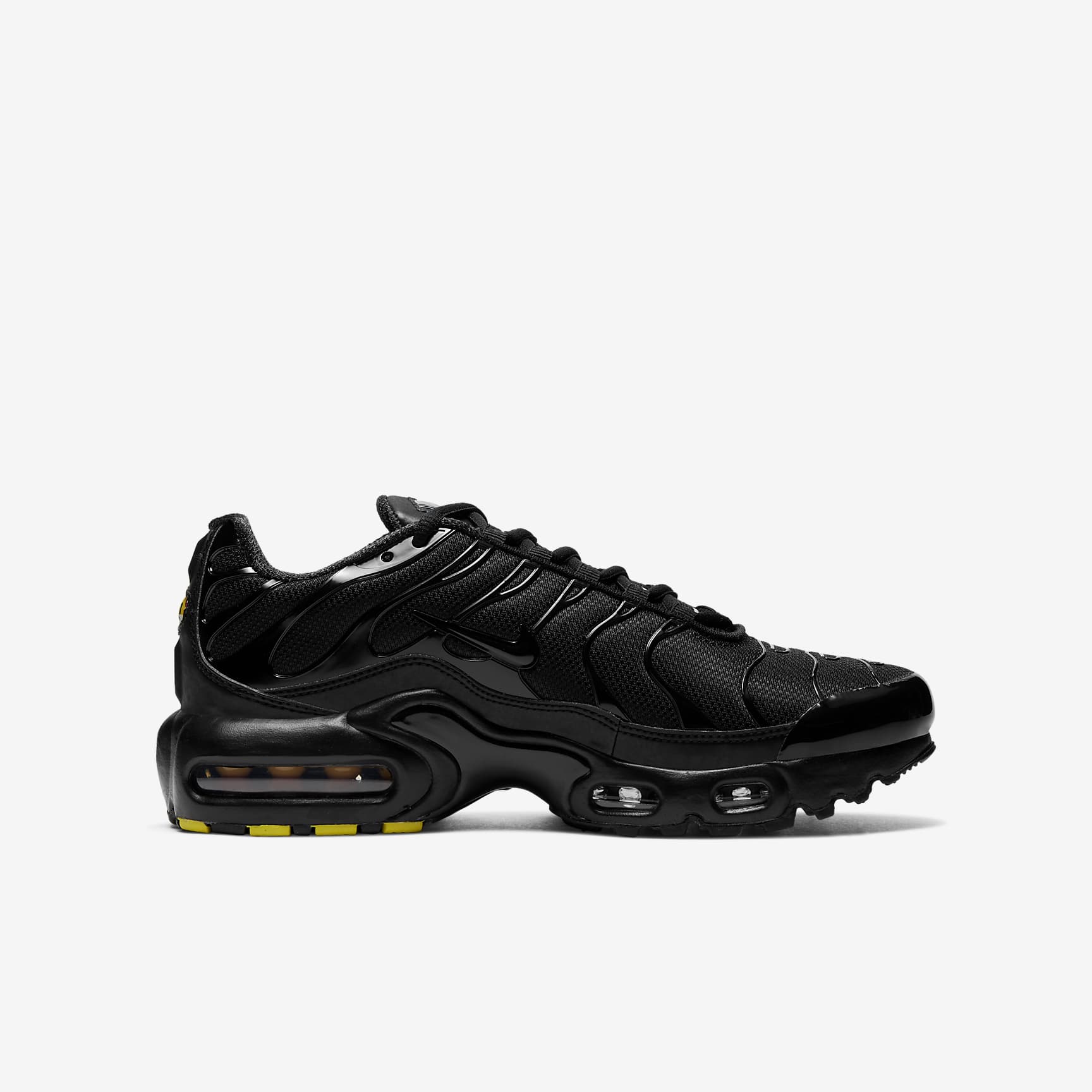 Nike Air Max Plus Big Kids' Shoes