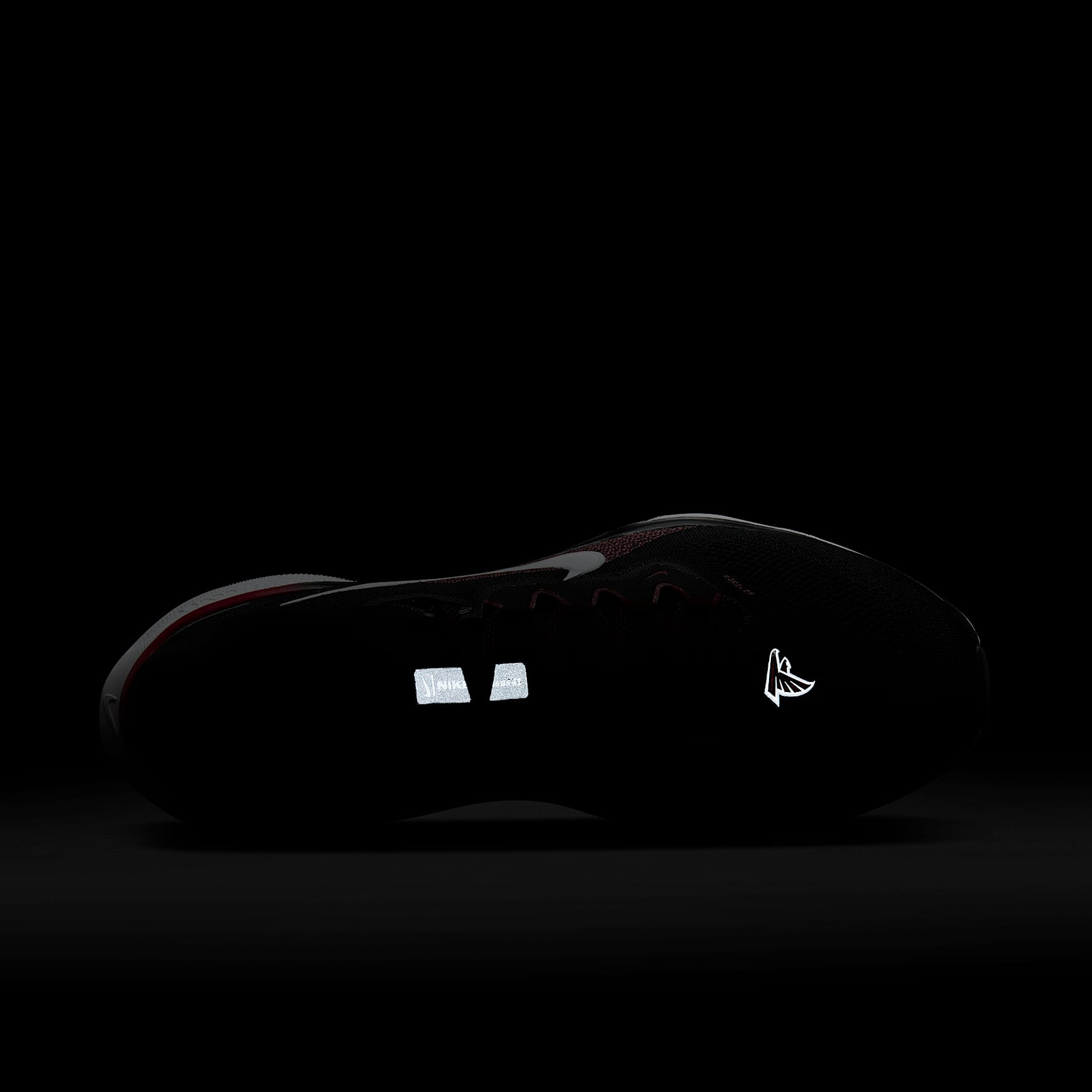 Nike Pegasus 41 NFL Atlanta Falcons Men's Road Running Shoes