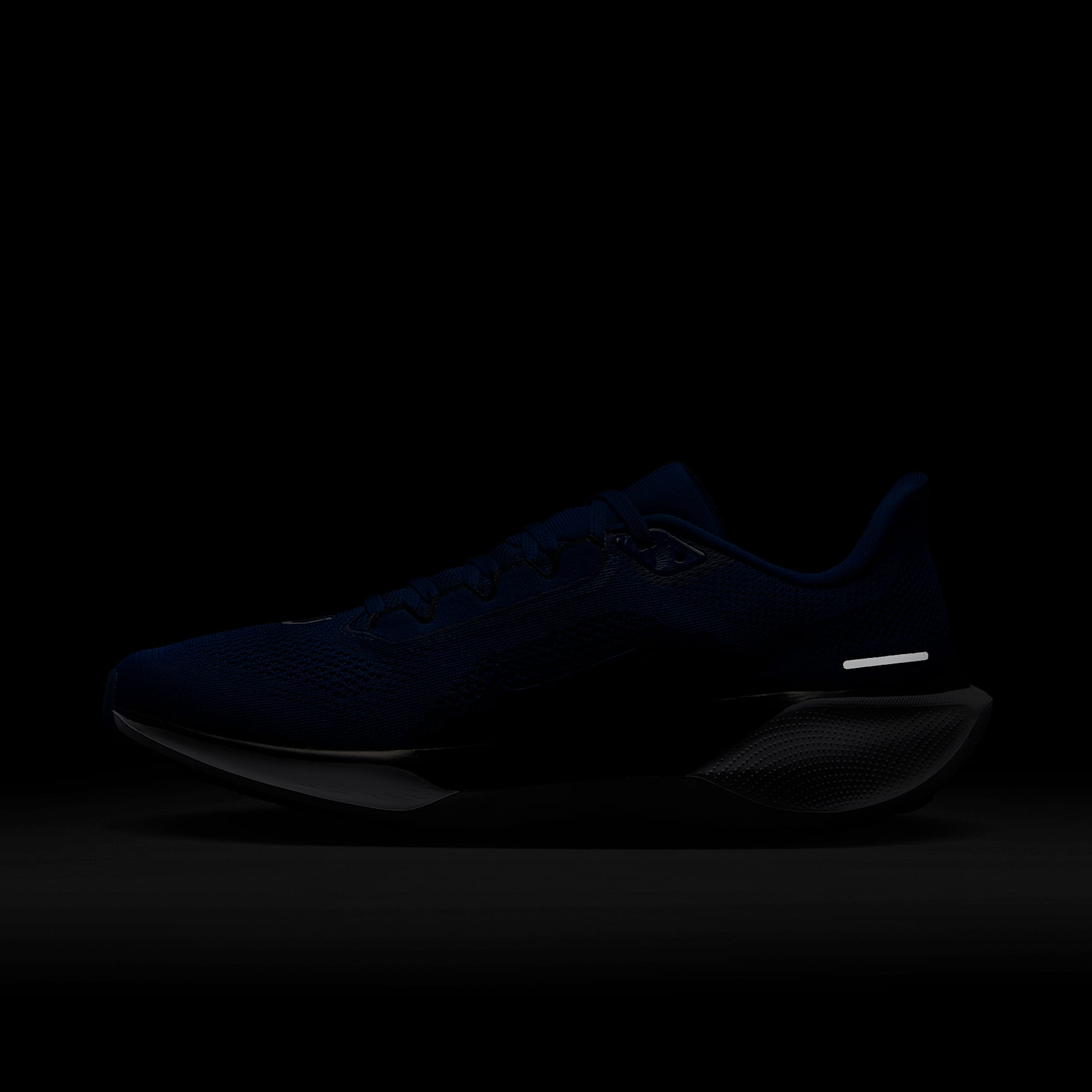 Nike Pegasus 41 NFL Indianapolis Colts Men's Road Running Shoes