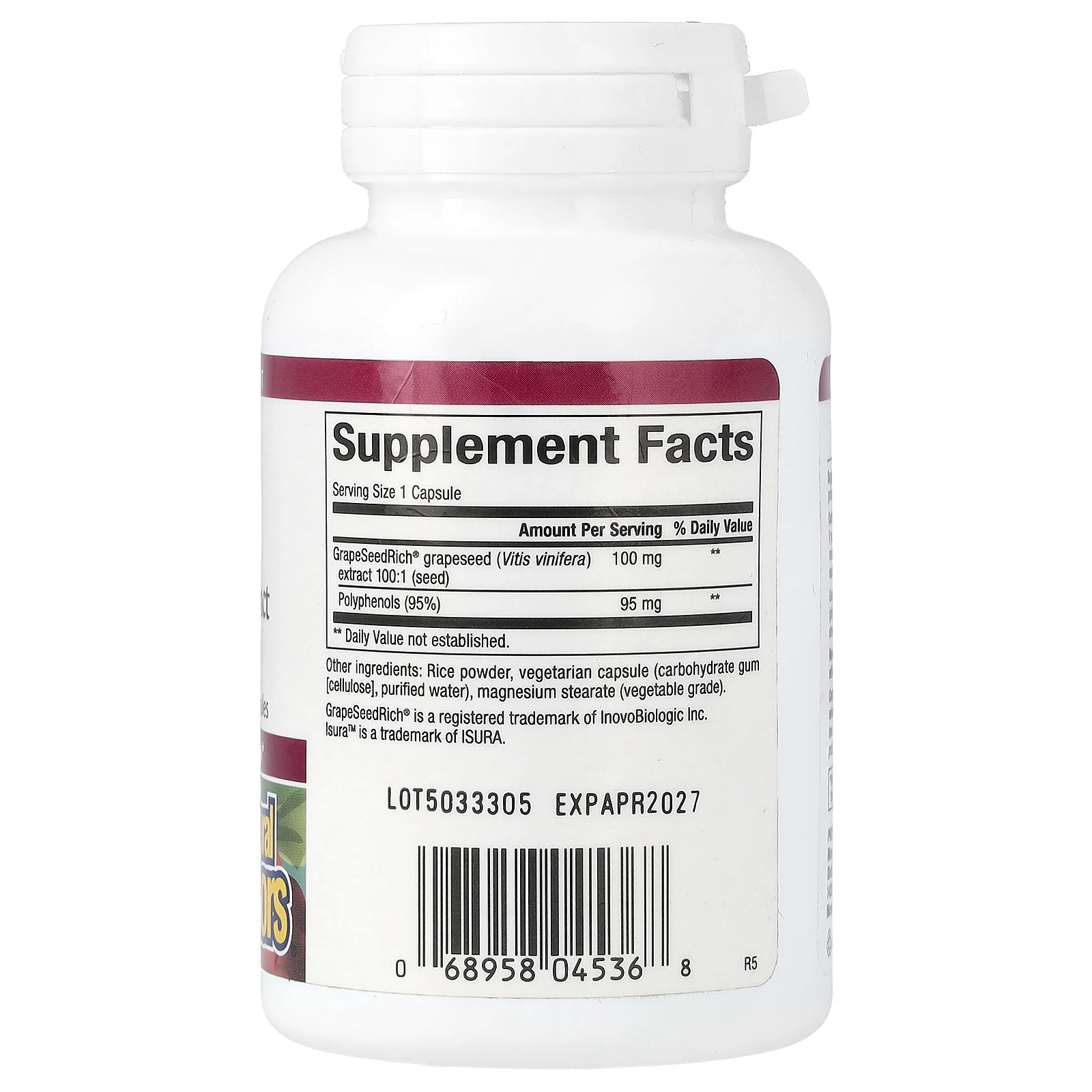 Natural Factors, GrapeSeedRich, экстракт виноградных косточек, 100 мг, 90 вегетарианских капсул