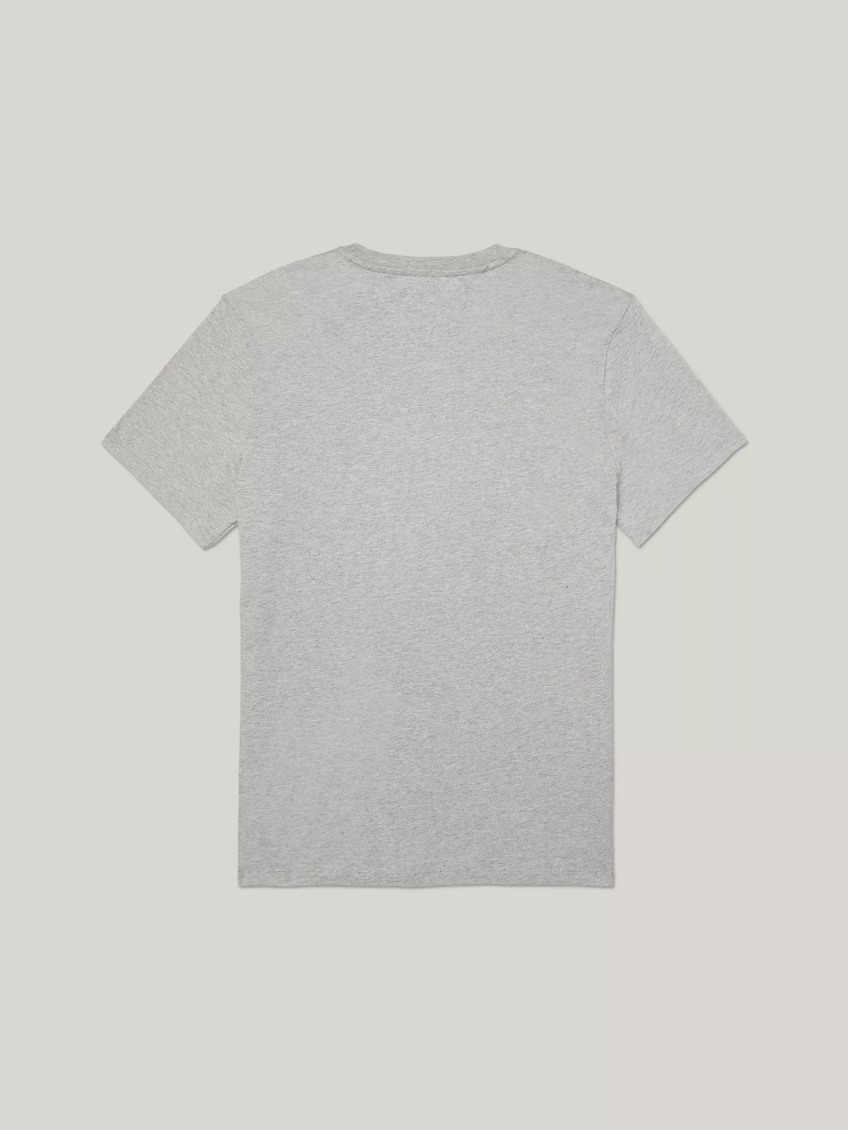 Мужская футболка Tommy Hilfiger, Классическая футболка