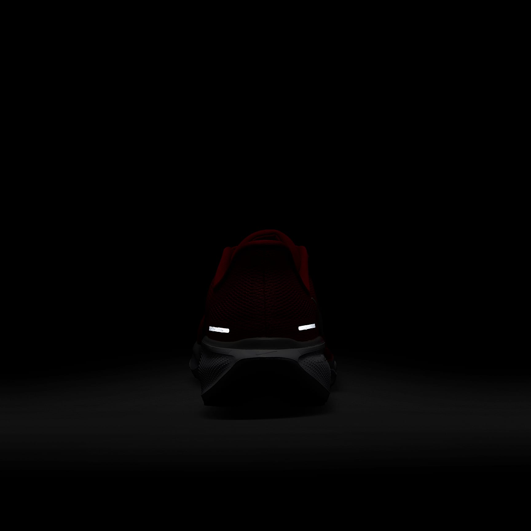 Ohio State Pegasus 41 Men's Nike College Road Running Shoes