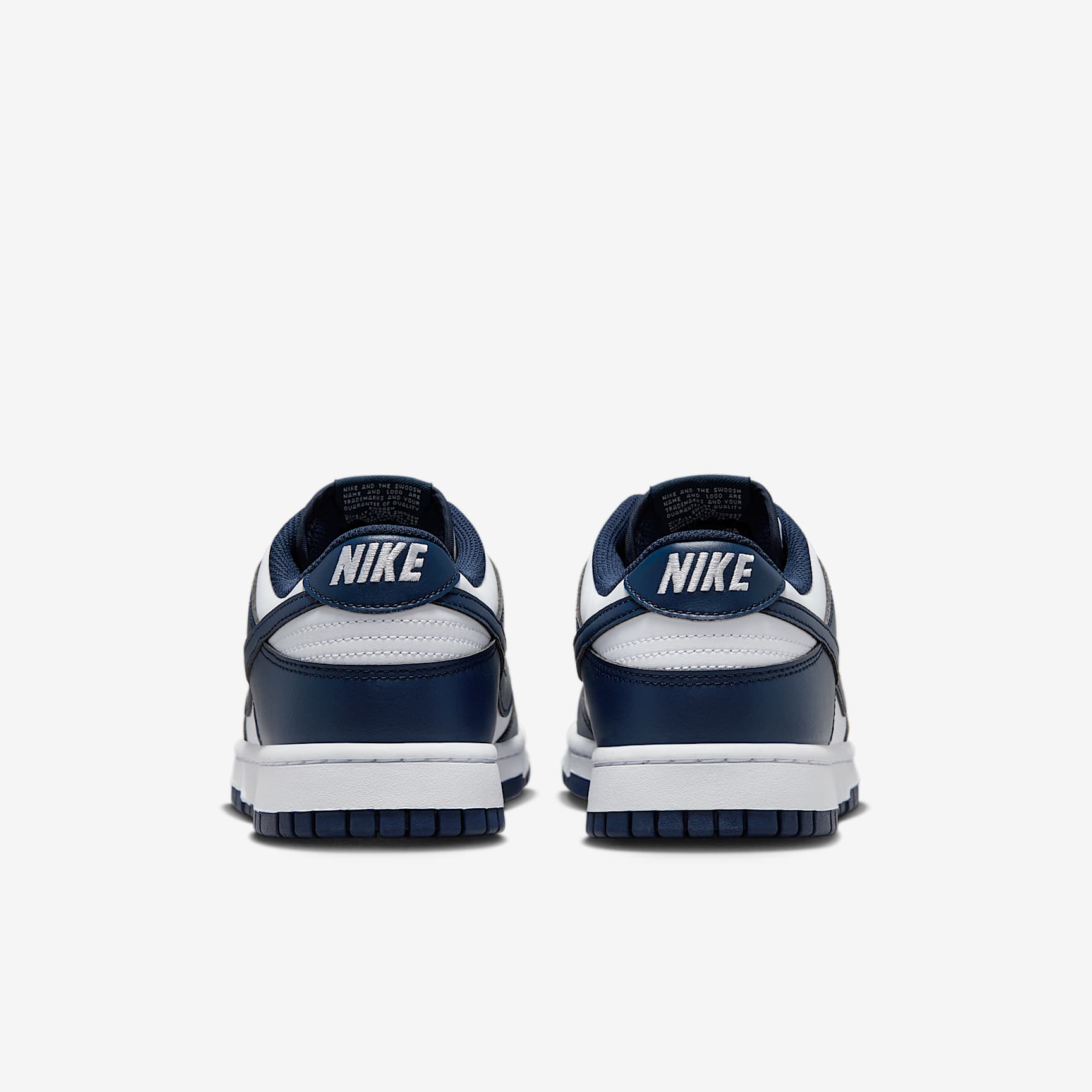 Nike Dunk Low Retro Men's Shoes