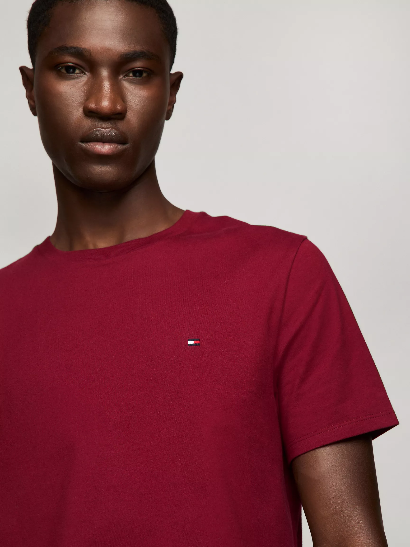 Мужская футболка Tommy Hilfiger, Повседневная футболка