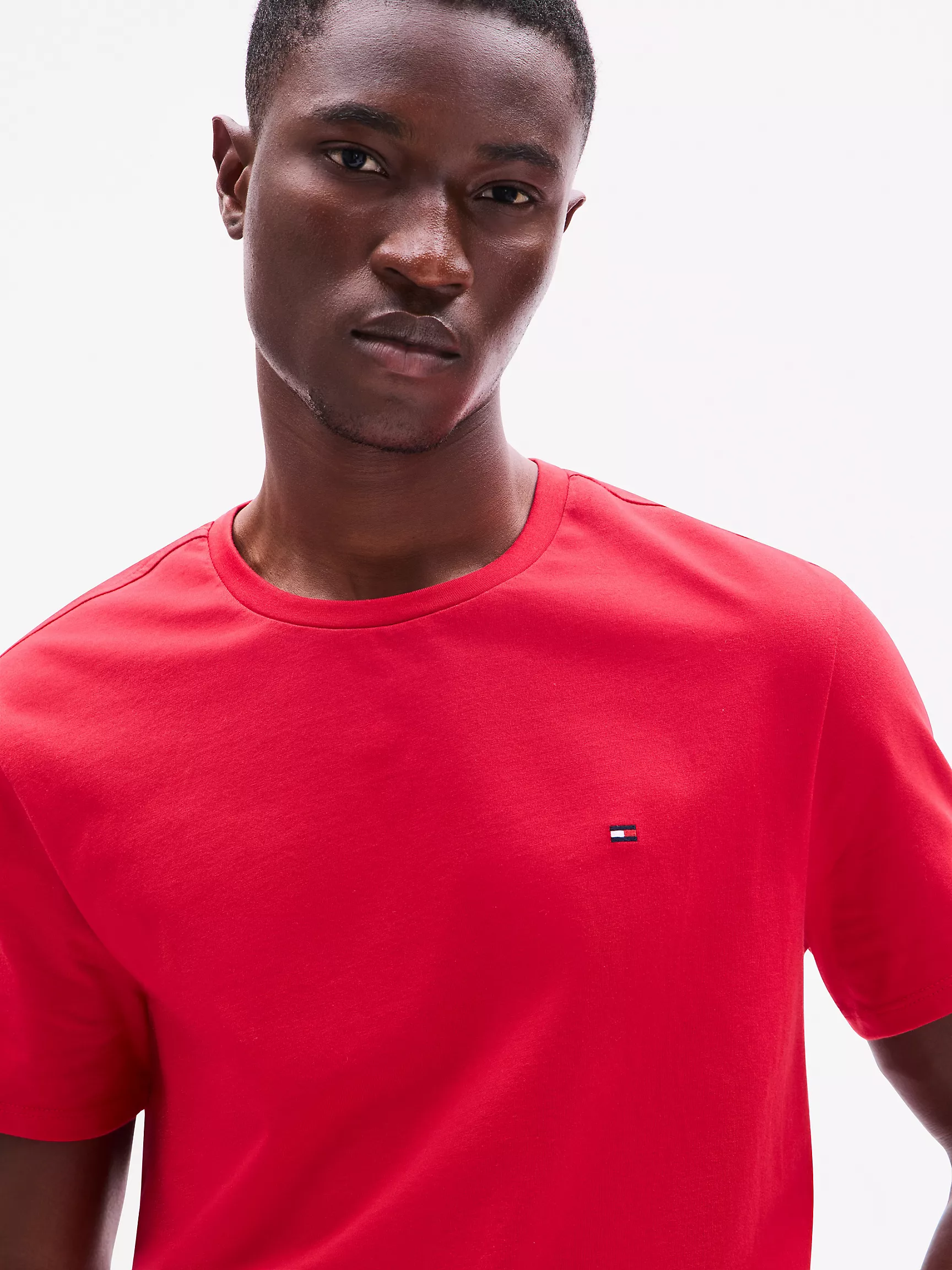 Мужская футболка Tommy Hilfiger, Повседневная футболка