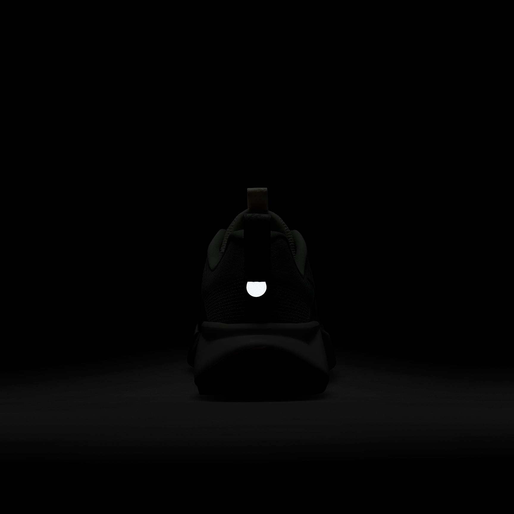 Nike Wildhorse 10 Men's Trail Running Shoes