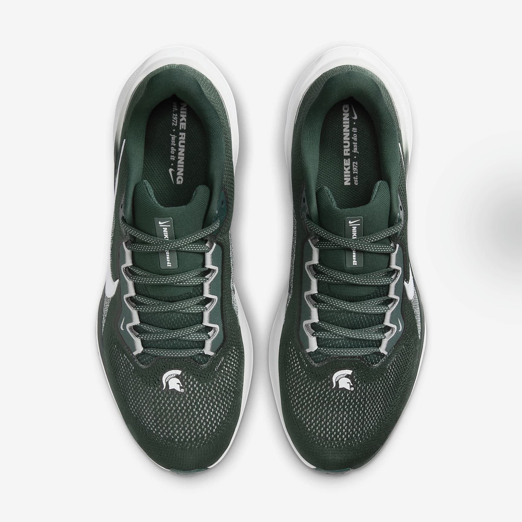 Michigan State Pegasus 41 Men's Nike College Road Running Shoes