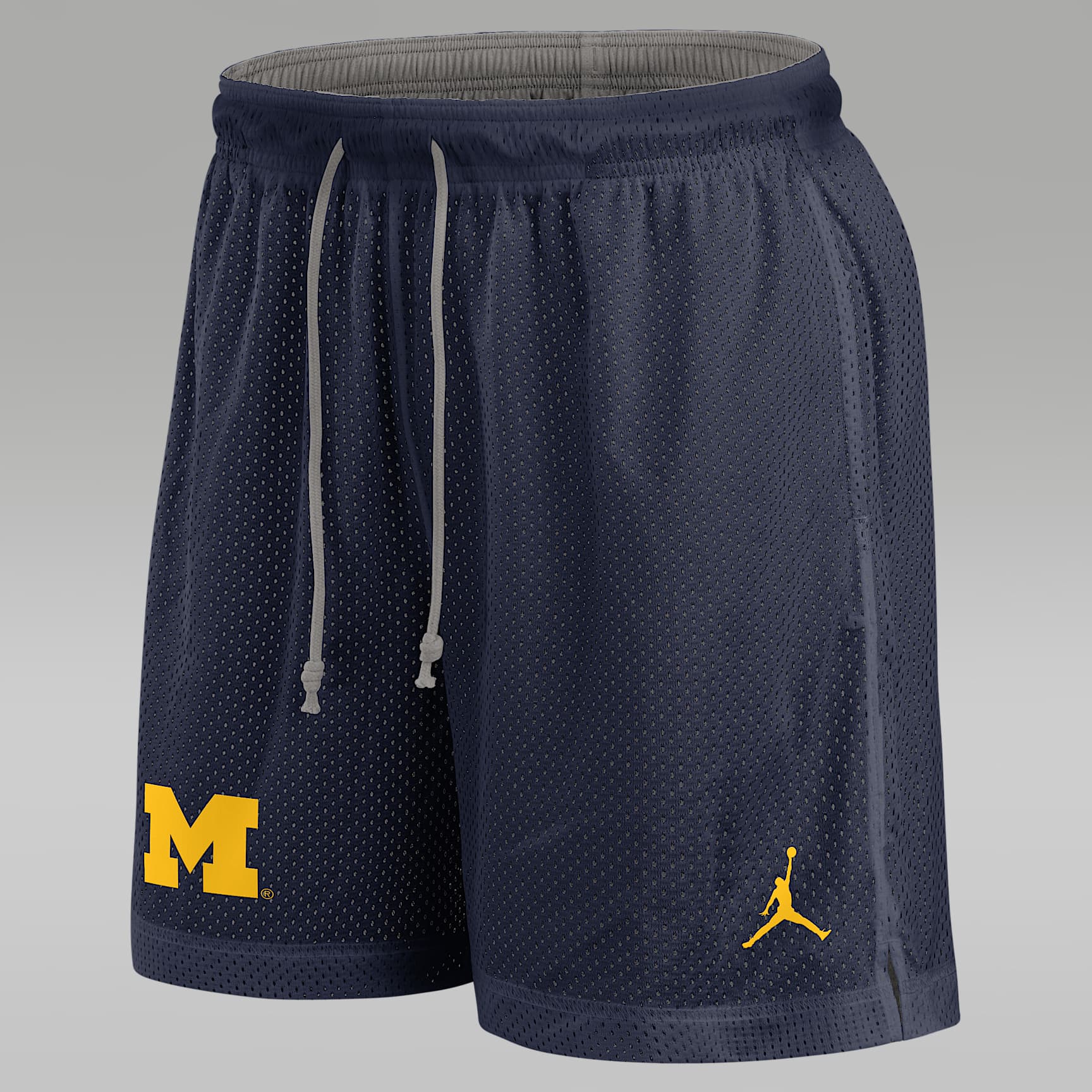 Michigan Wolverines Player Men's Jordan Brand Dri-FIT College Shorts