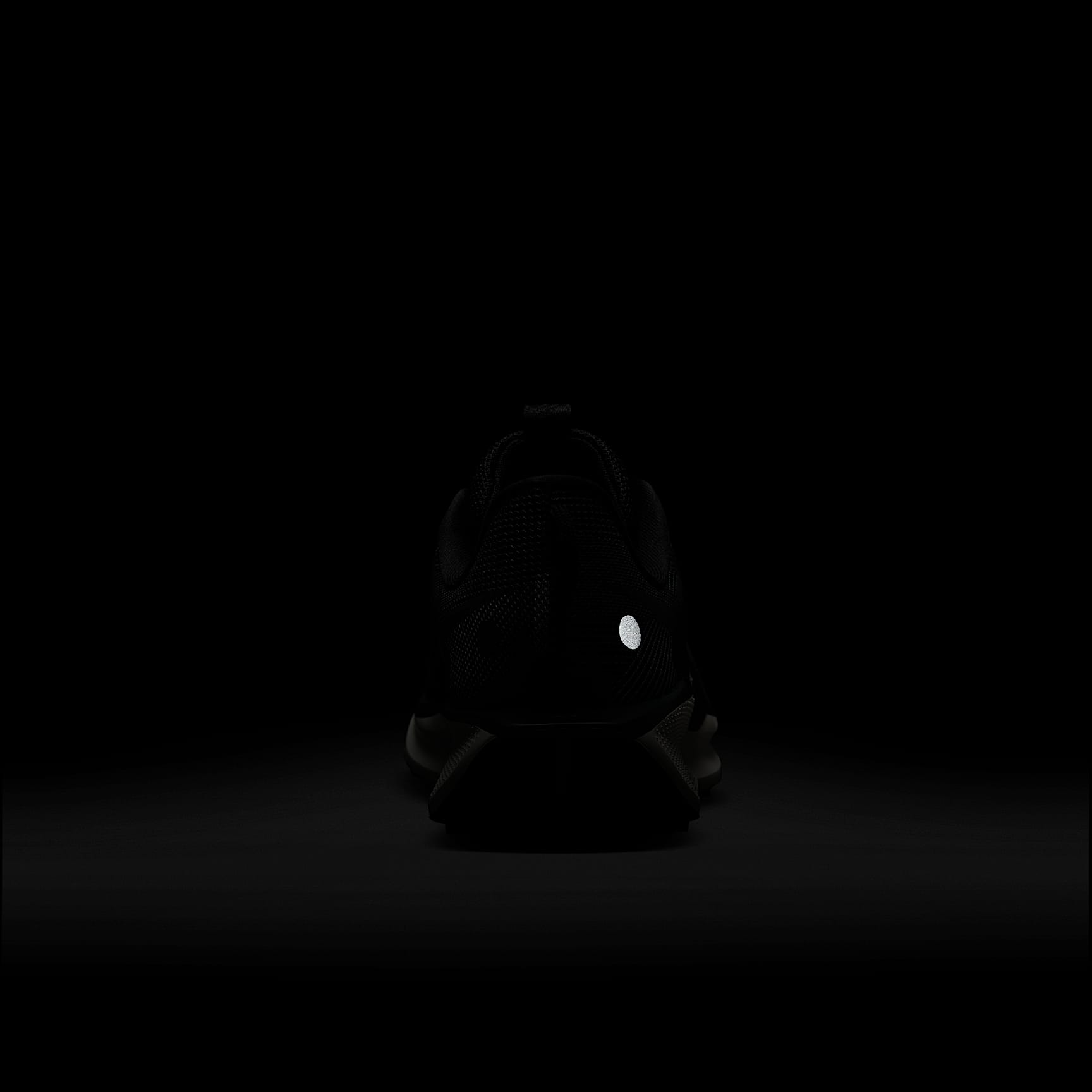 Nike Pegasus Trail 5 Women's Trail Running Shoes