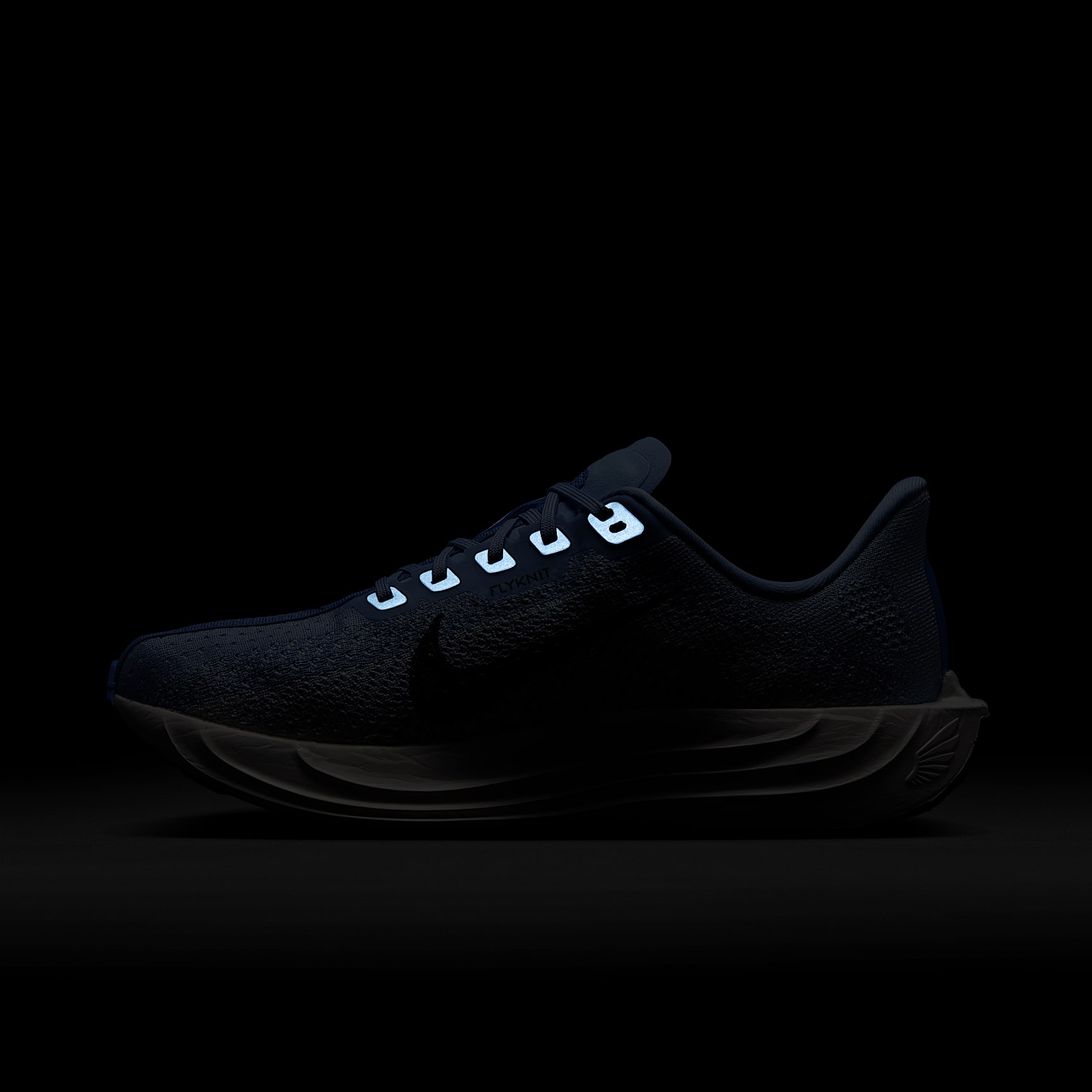 Nike Pegasus Plus Women's Road Running Shoes