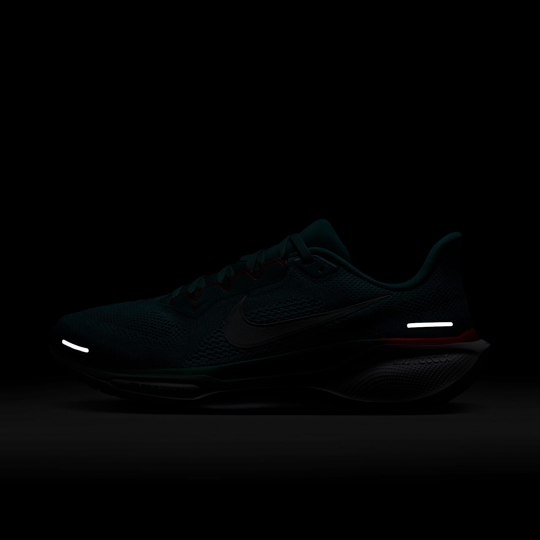 Nike Pegasus 41 NFL Miami Dolphins Men's Road Running Shoes