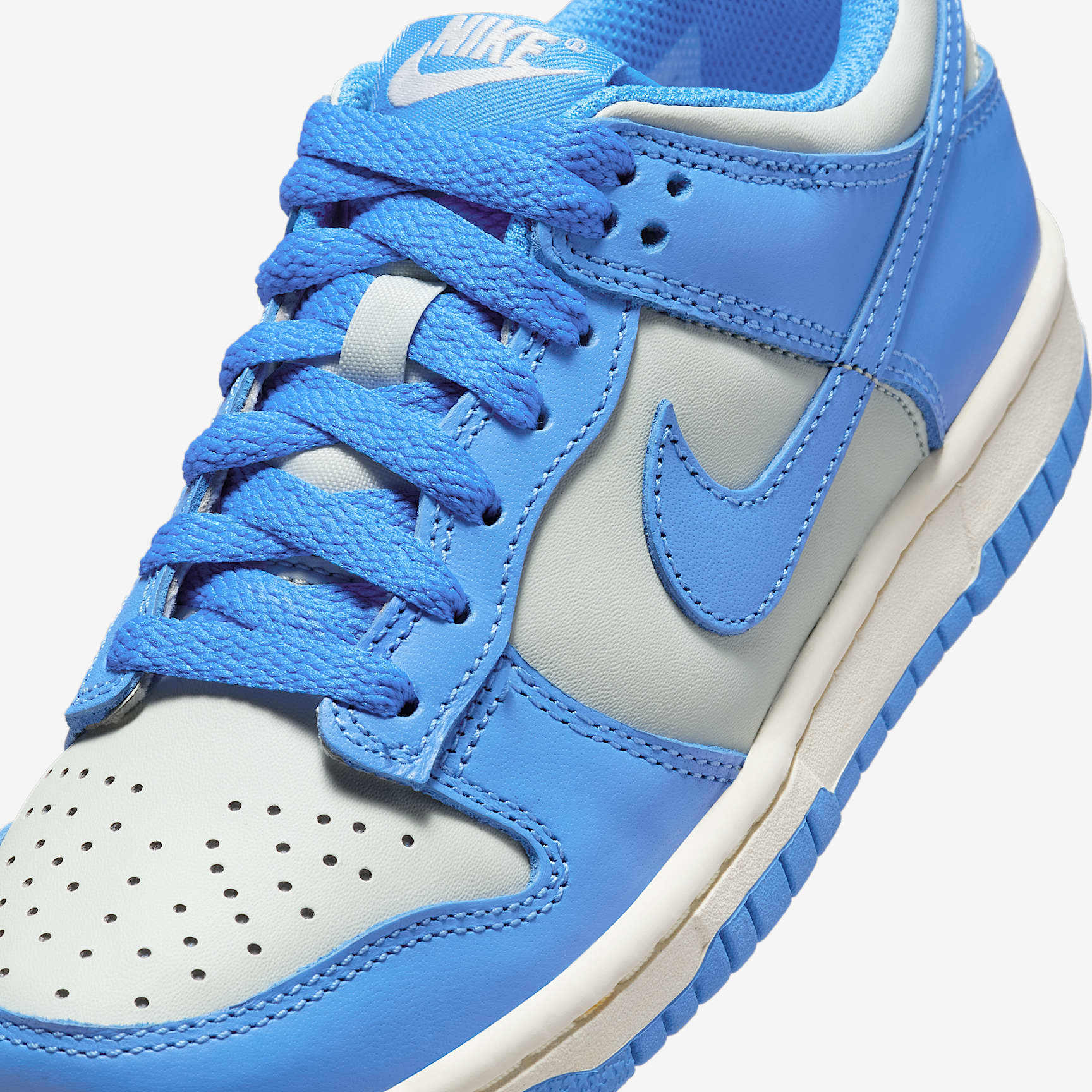 Nike Dunk Low Big Kids' Shoes