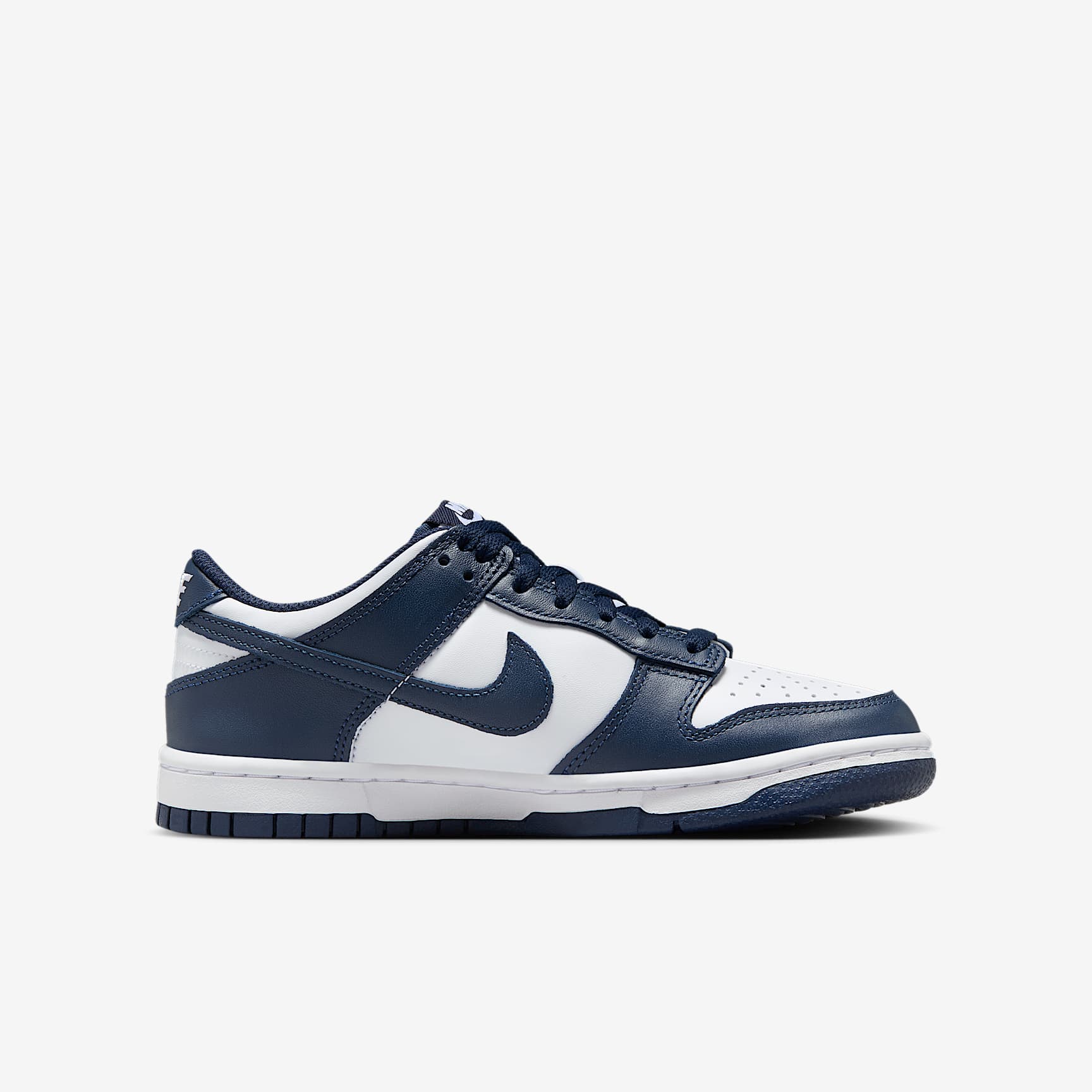 Nike Dunk Low Big Kids' Shoes