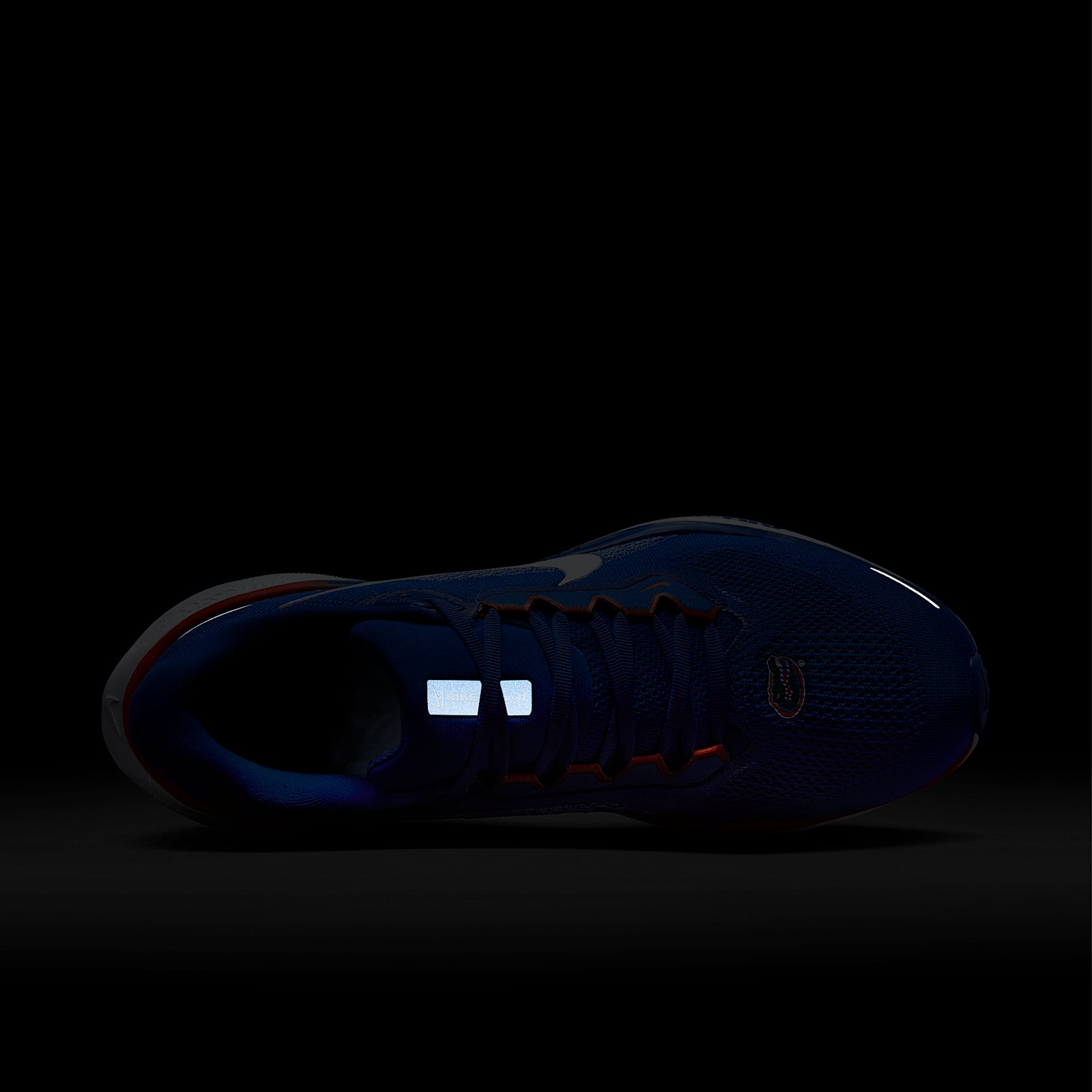 Florida Pegasus 41 Men's Nike College Road Running Shoes