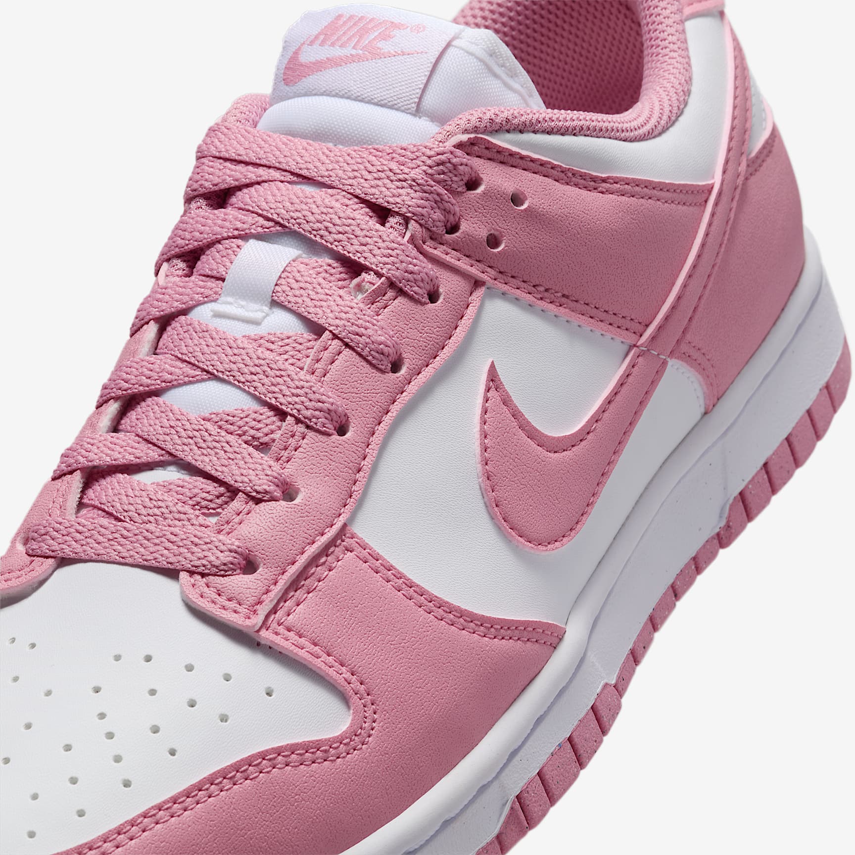 Nike Dunk Low Next Nature Women's Shoes